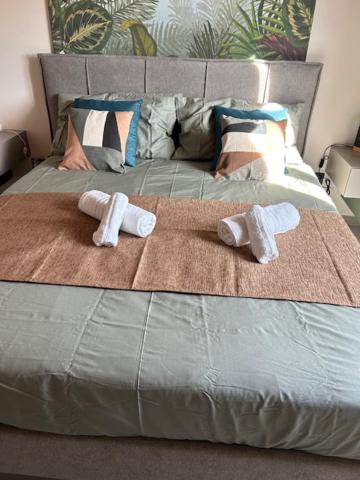 Deluxe One-Bedroom Apartment