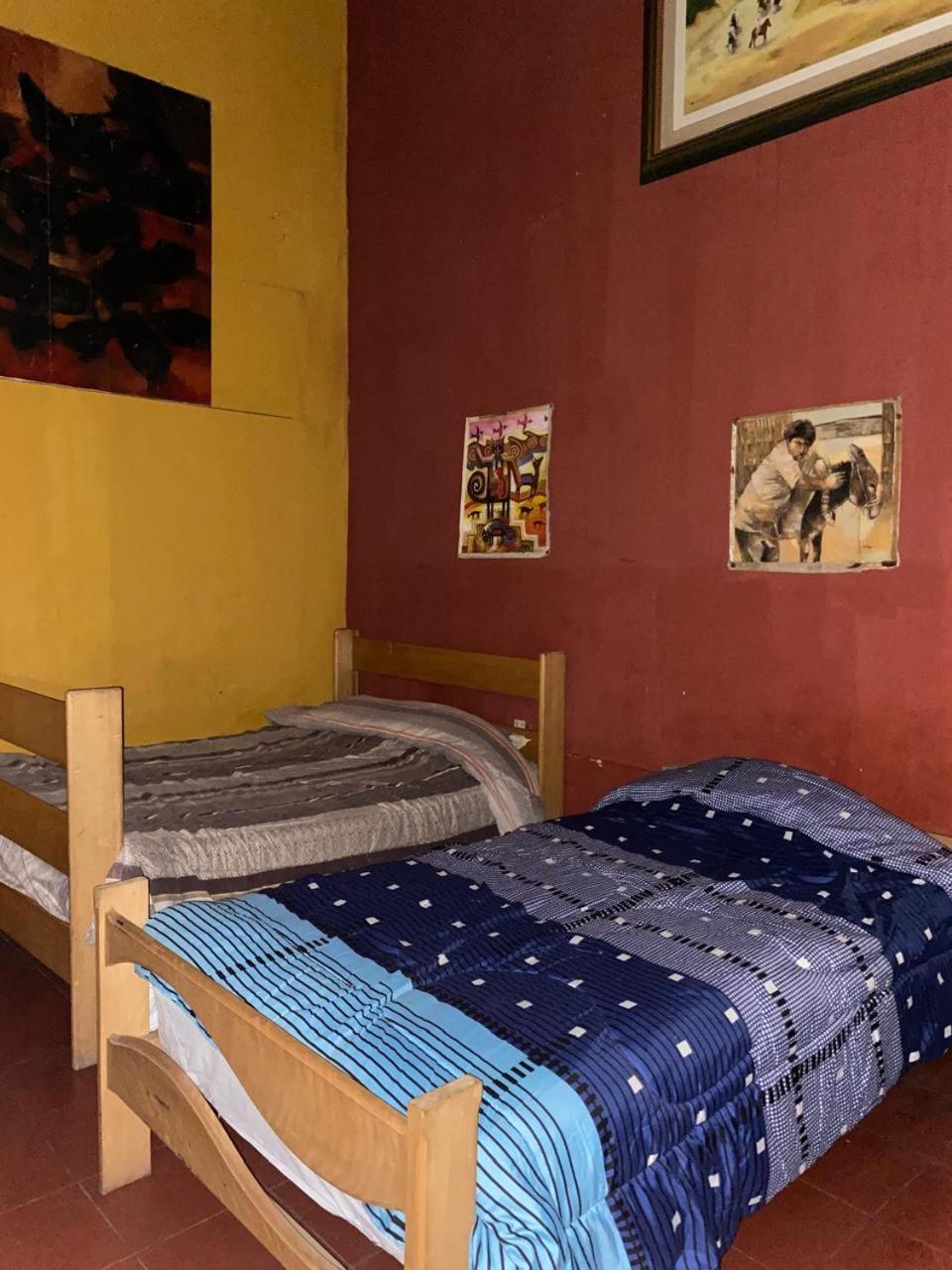 Twin Room photo 2