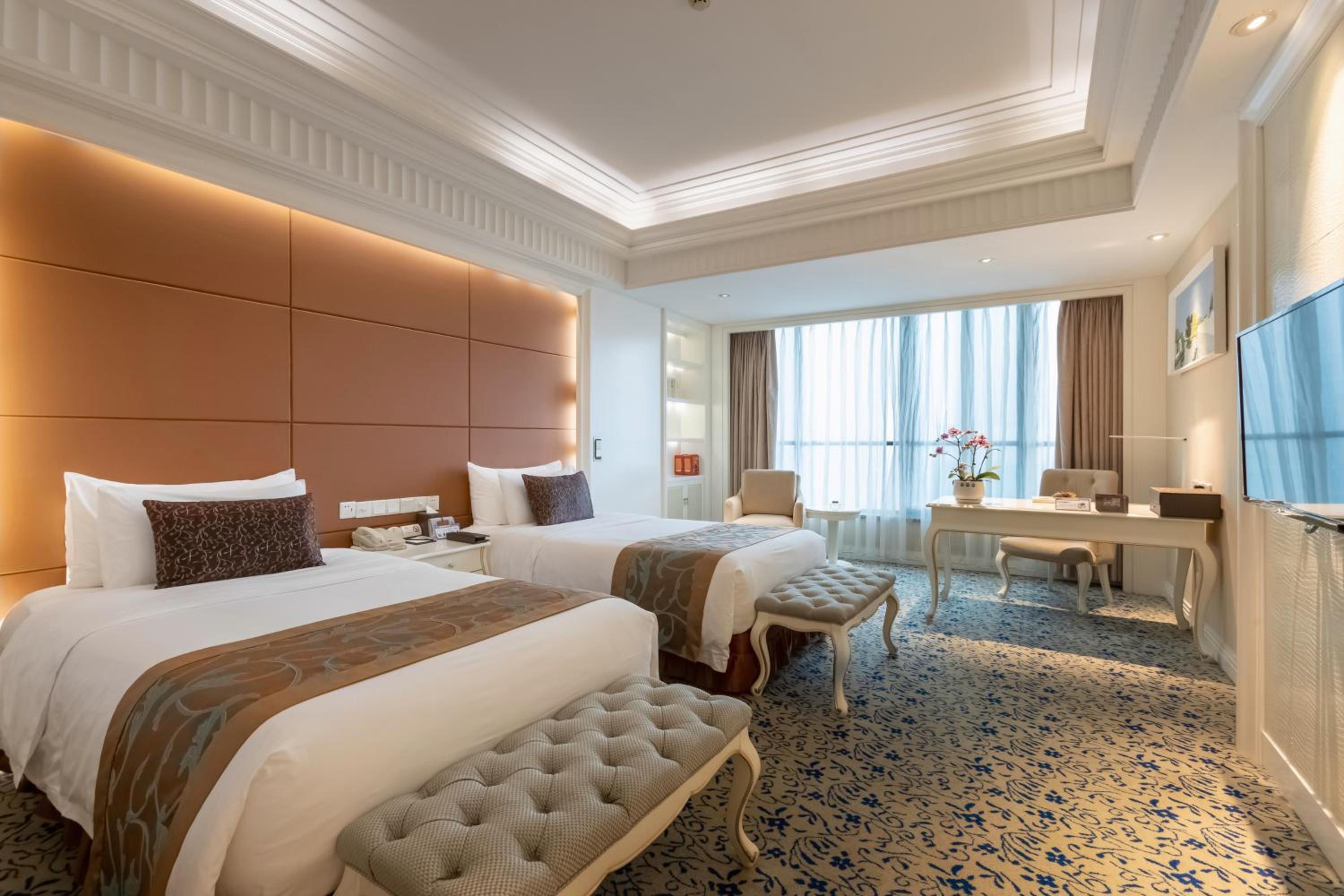 Deluxe Twin Room photo 1