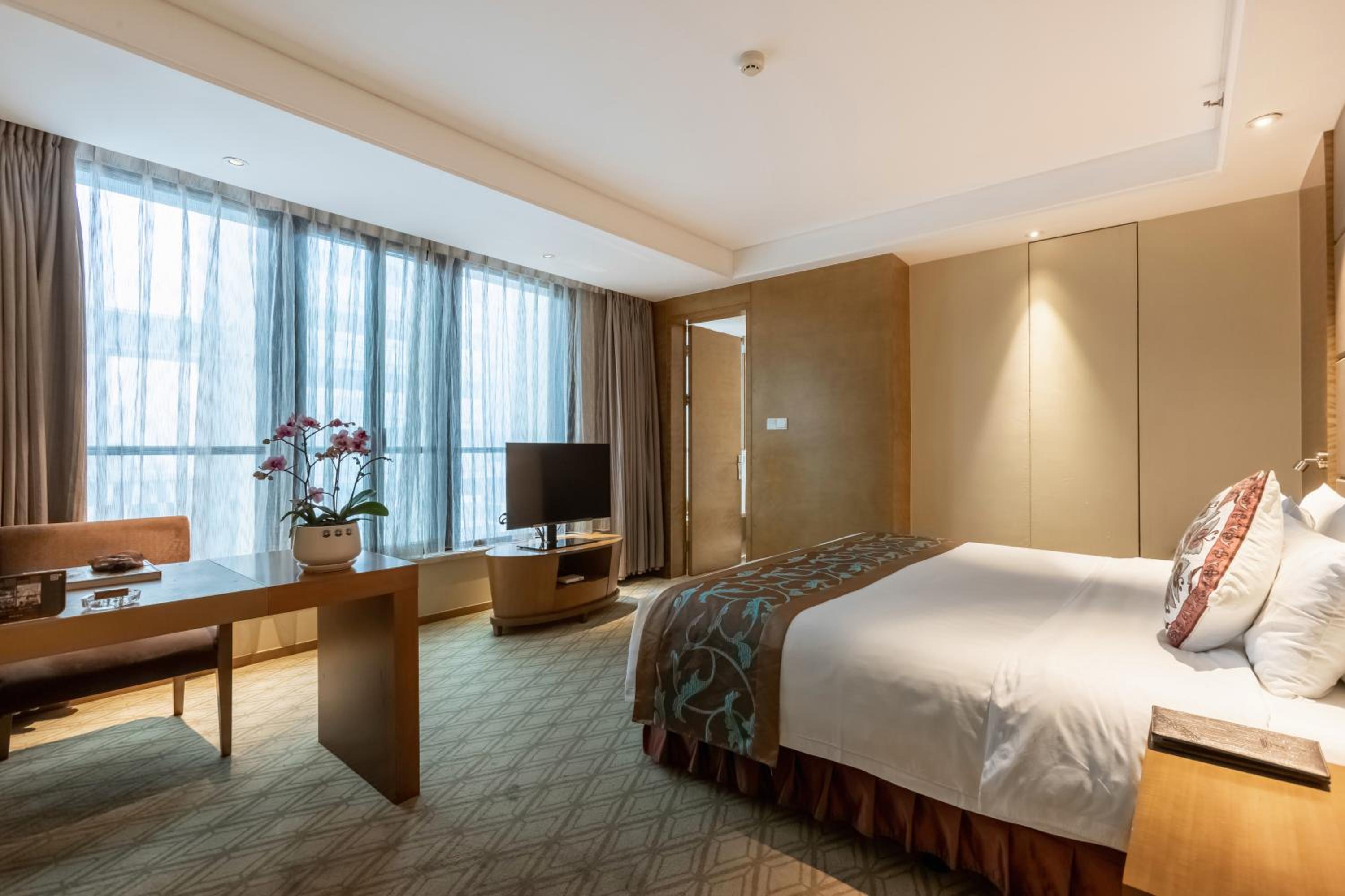 Superior Single Room photo 1