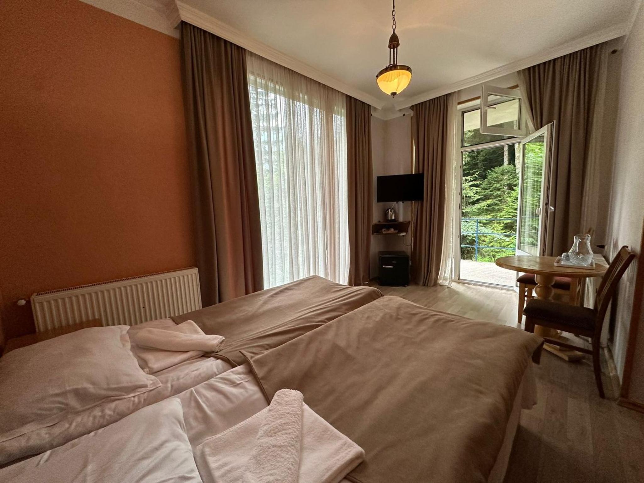 Double or Twin Room with View photo 3