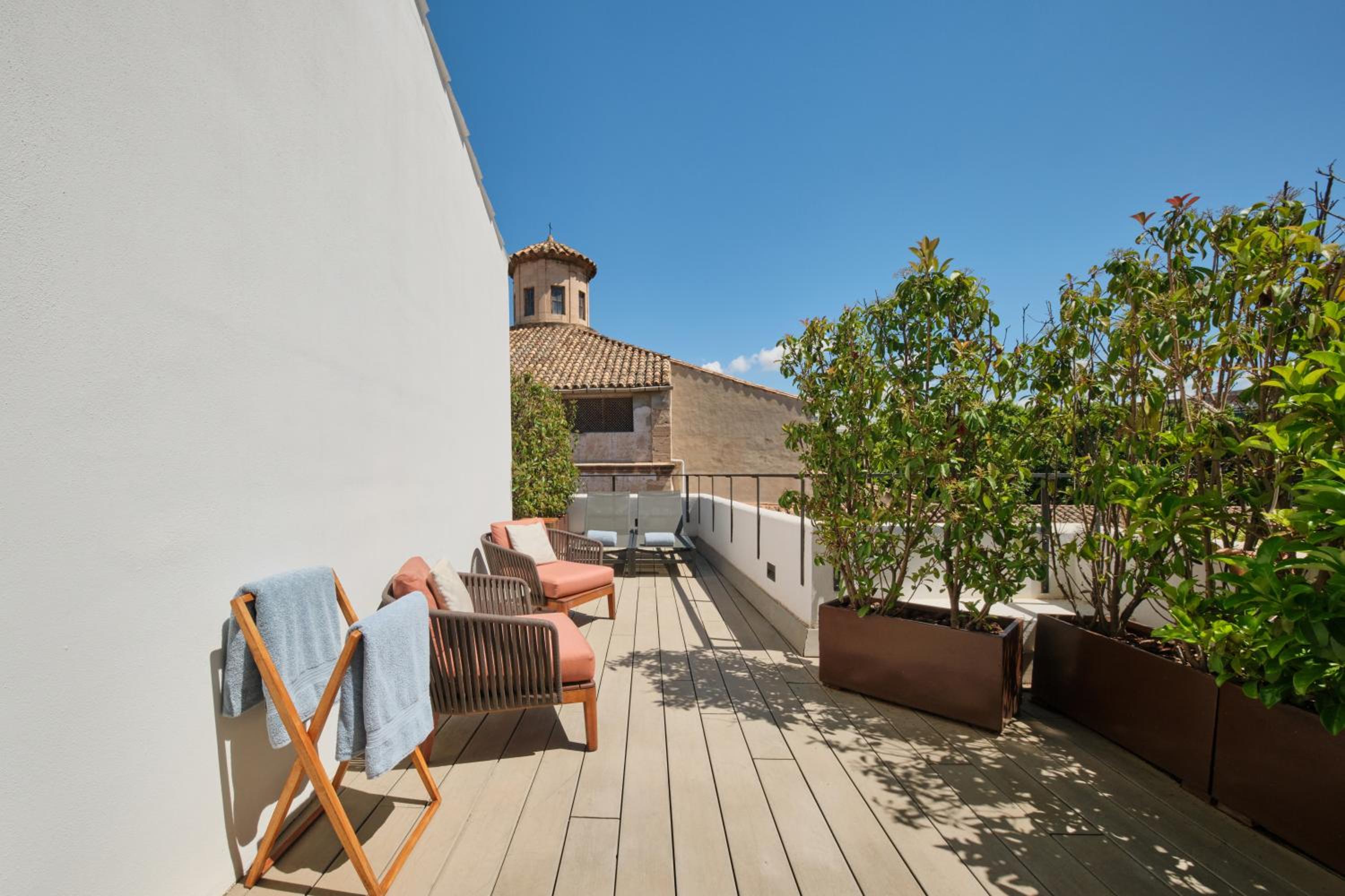 Suite Junior con Terraza Suite Junior con Terraza