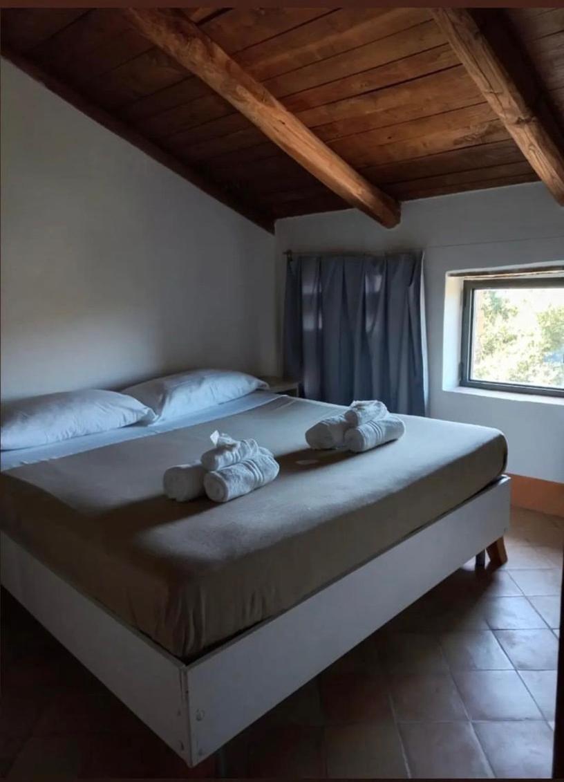 Apartment with Terrace photo 1