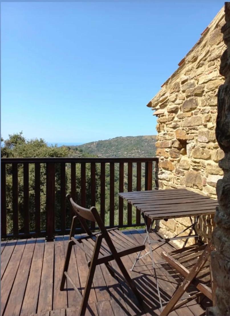 Apartment with Terrace photo 3