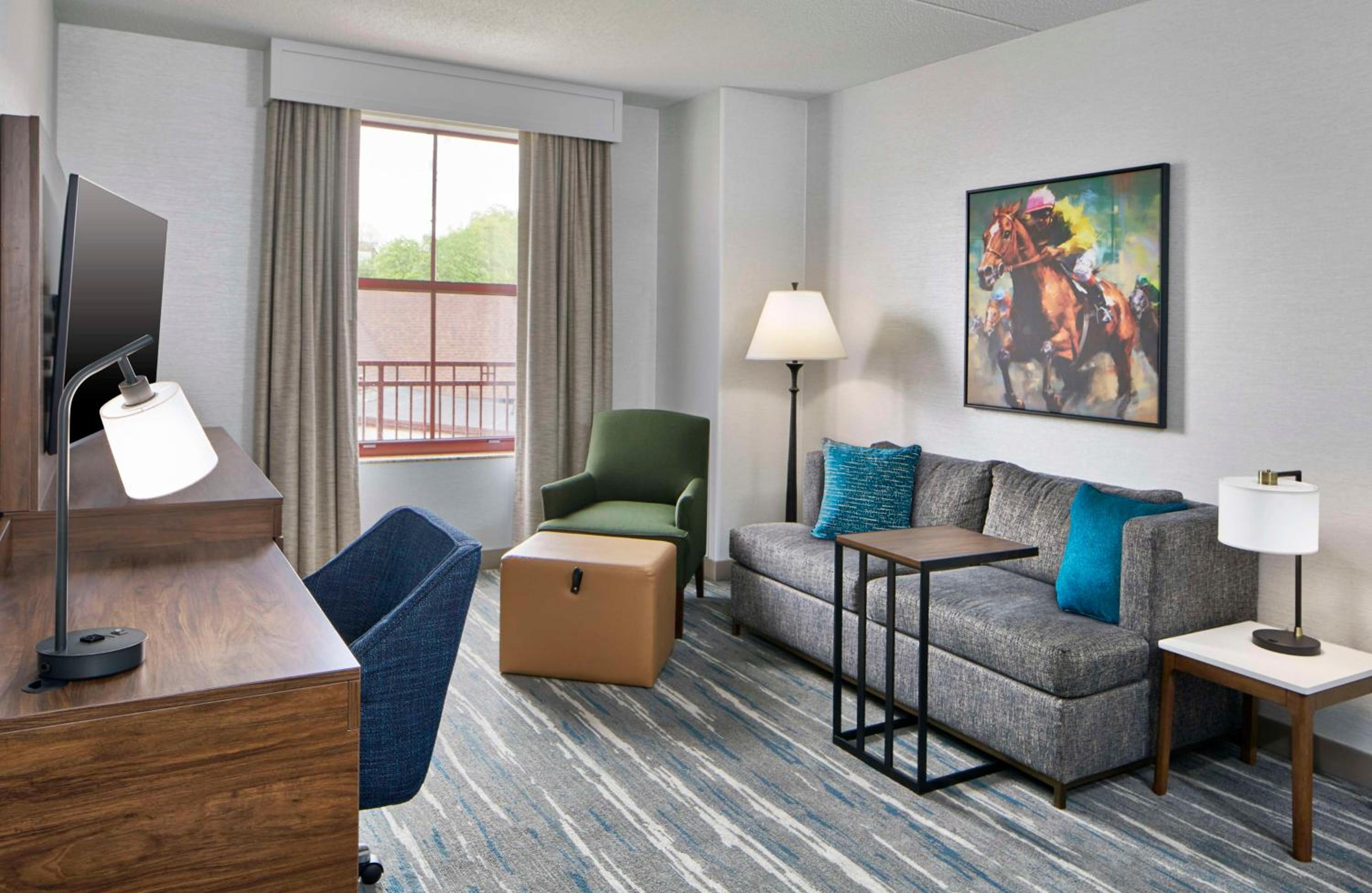 Deluxe King Suite with Sofa Bed - Photo 1