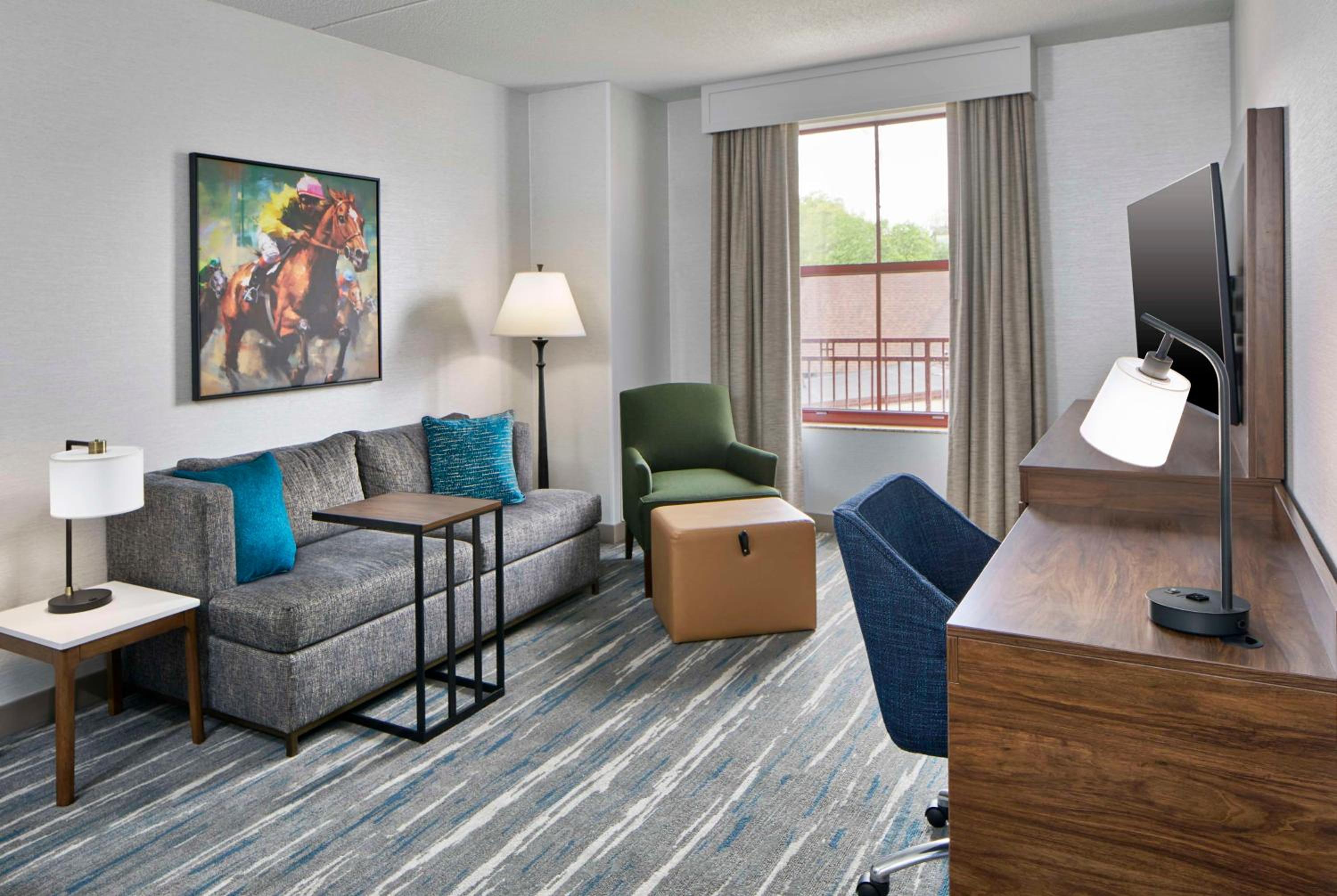 Deluxe King Suite with Sofa Bed - Photo 6