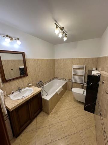 One-Bedroom Premium Apartment photo 2