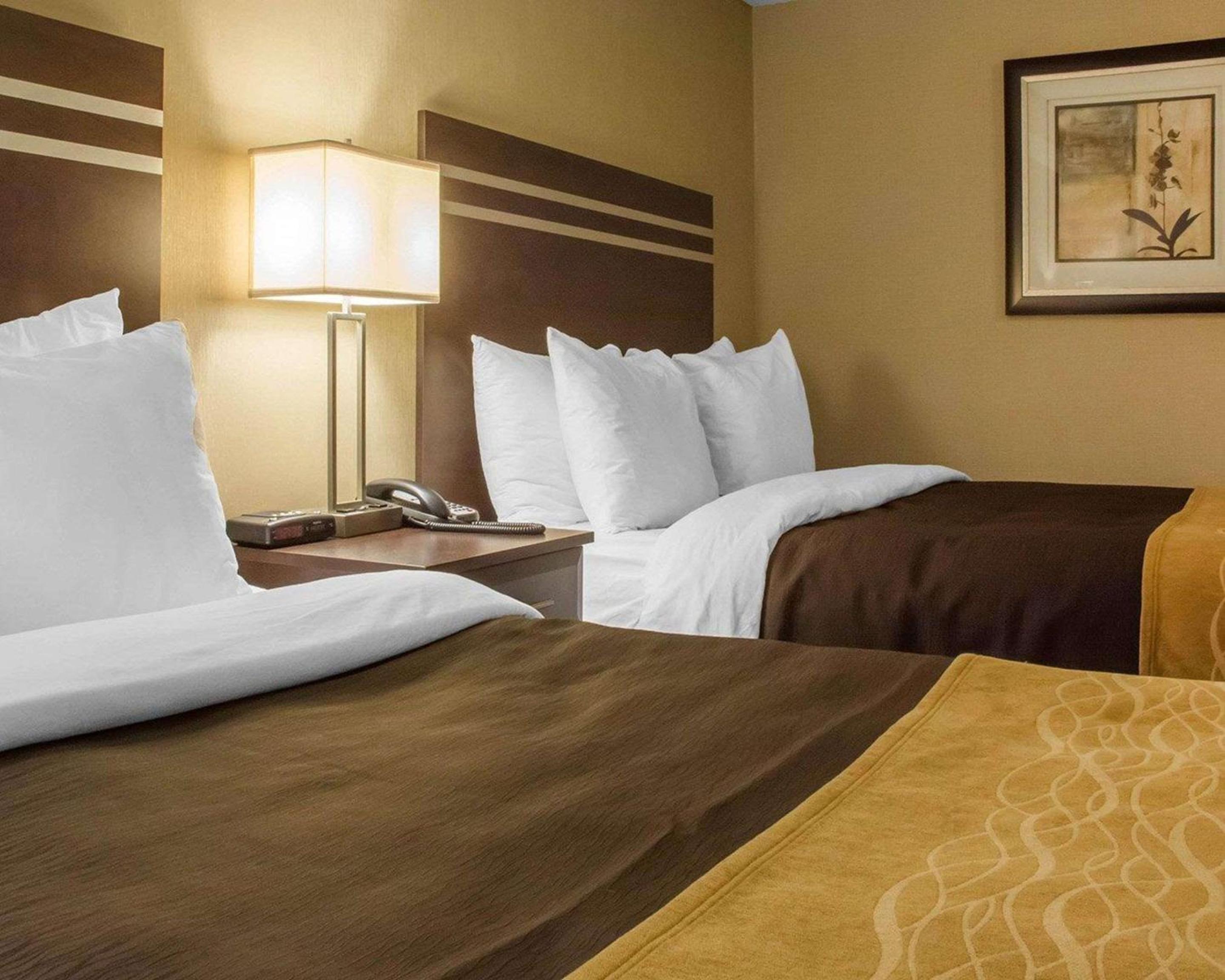 Queen Room with Two Queen Beds Non Smoking photo 3