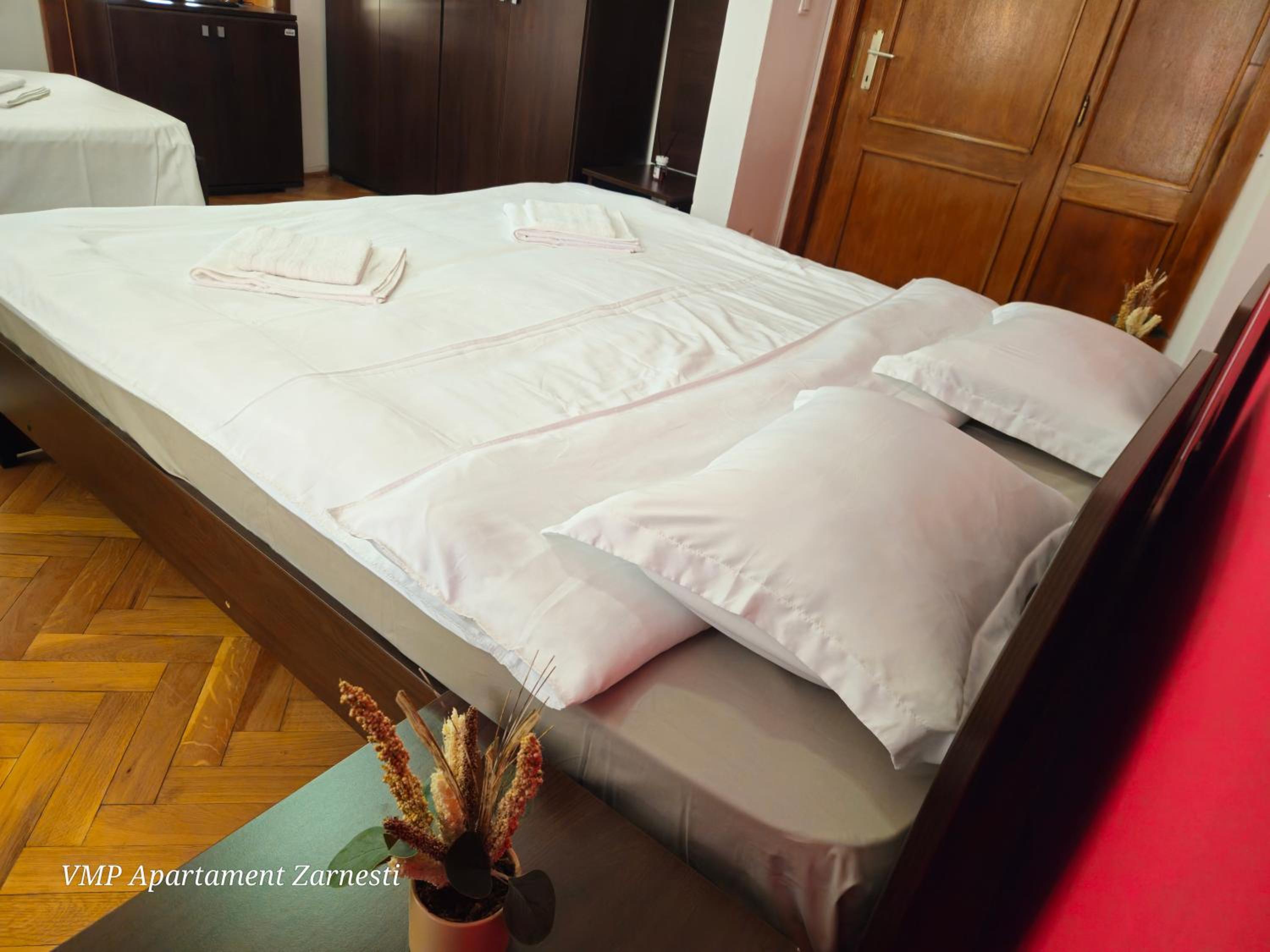 Superior One-Bedroom Apartment with Balcony photo 2