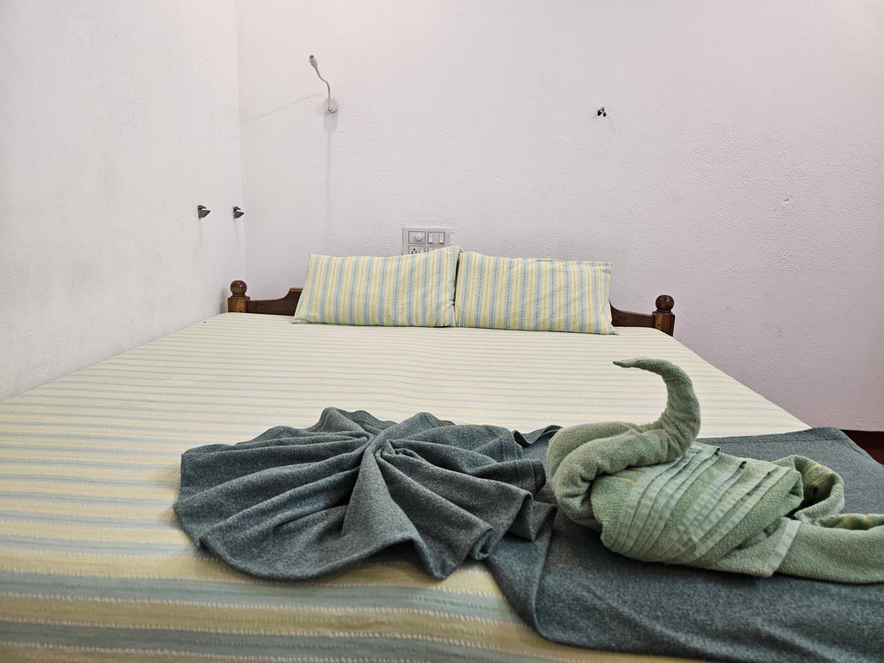 Twin Room photo 1