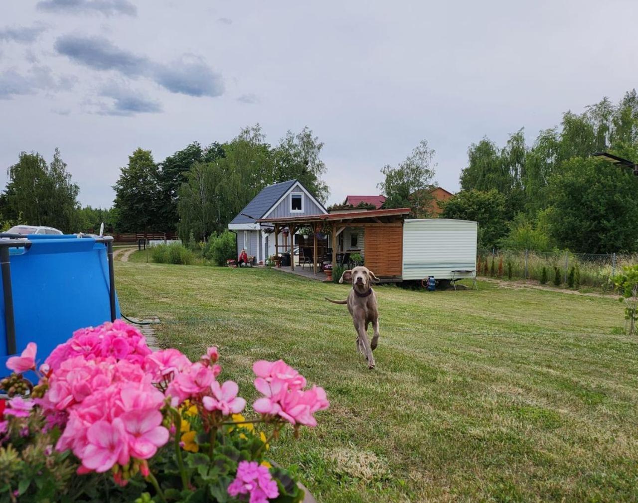 Mobile Home photo 3