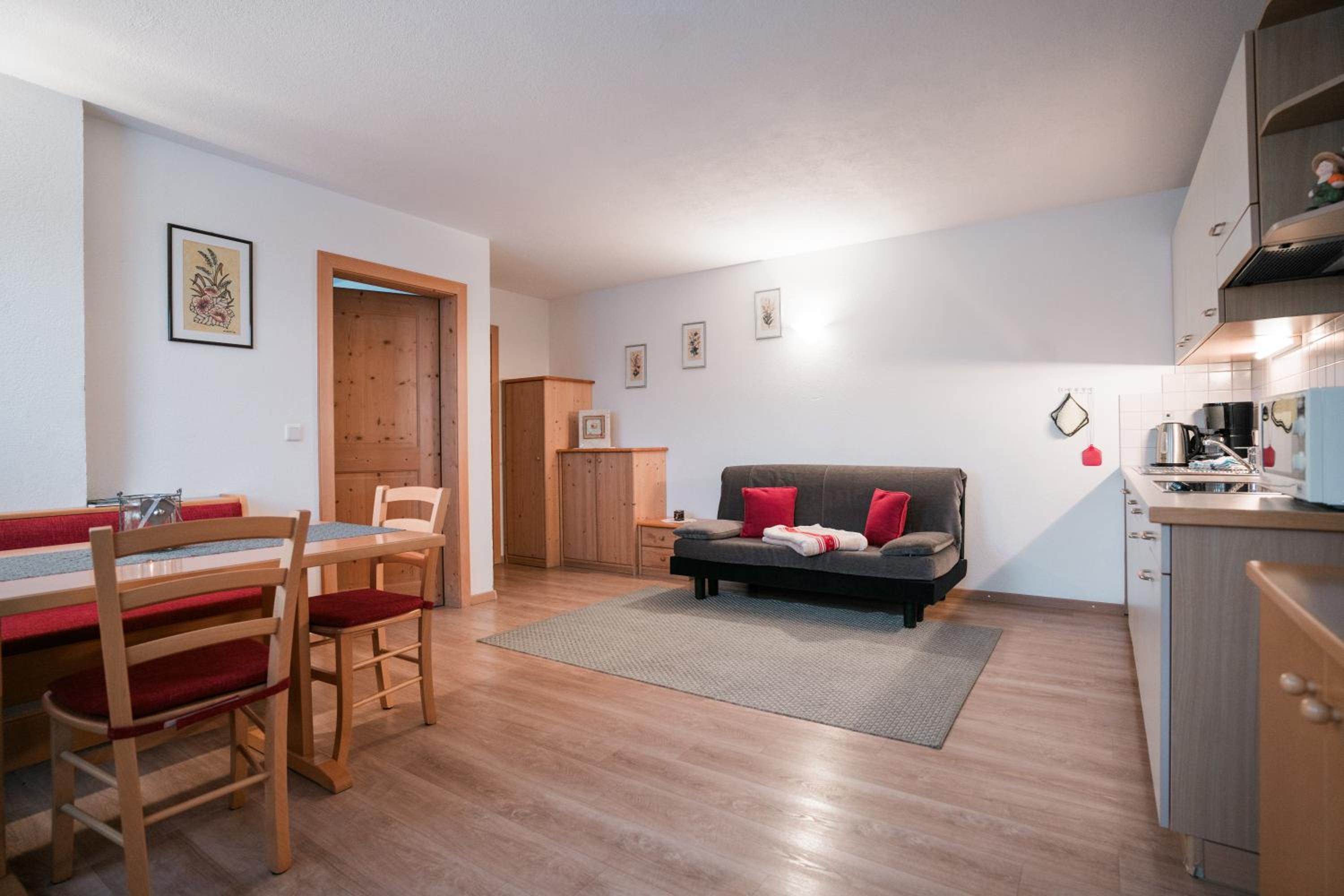 Large One-Bedroom Apartment photo 1