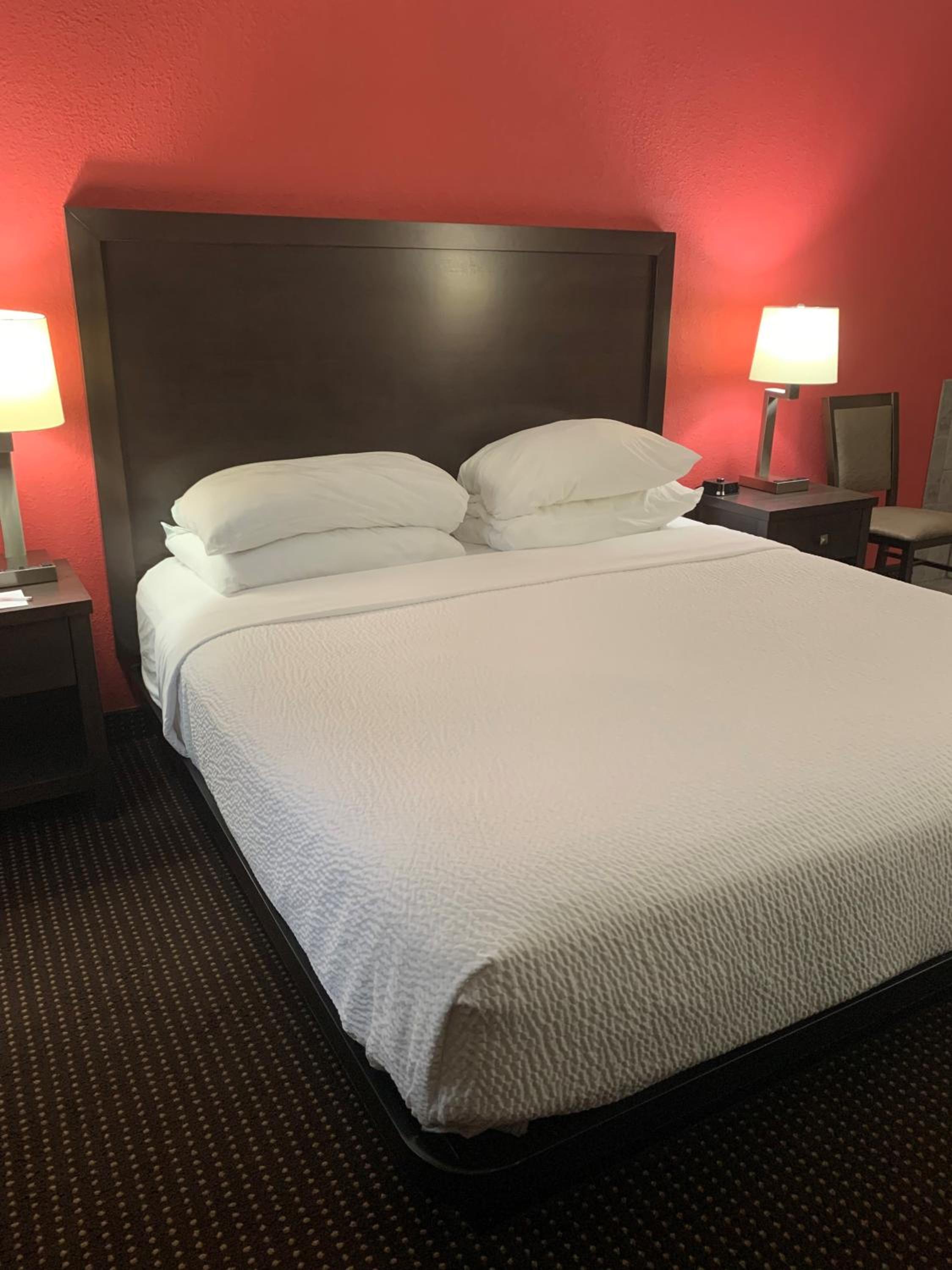 King Room with Lake View - Non-Smoking