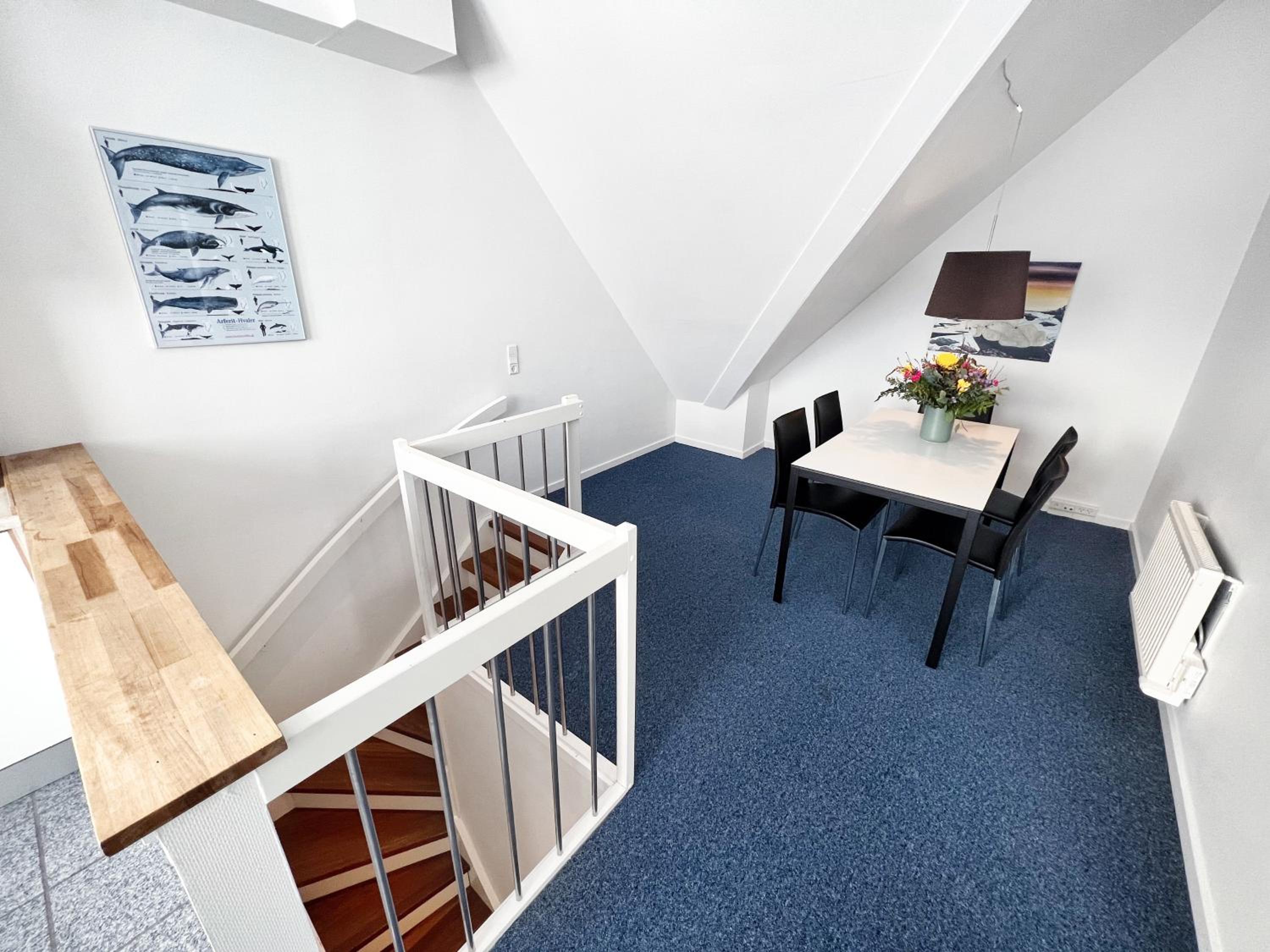 Large One-Bedroom Apartment photo 3