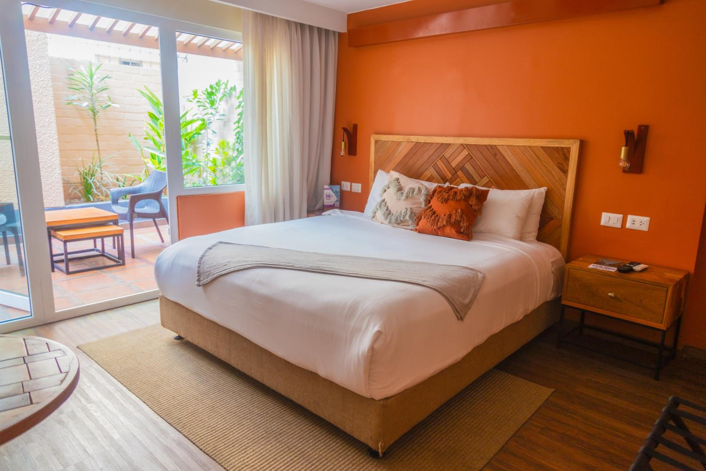 Suite with Terrace photo 1