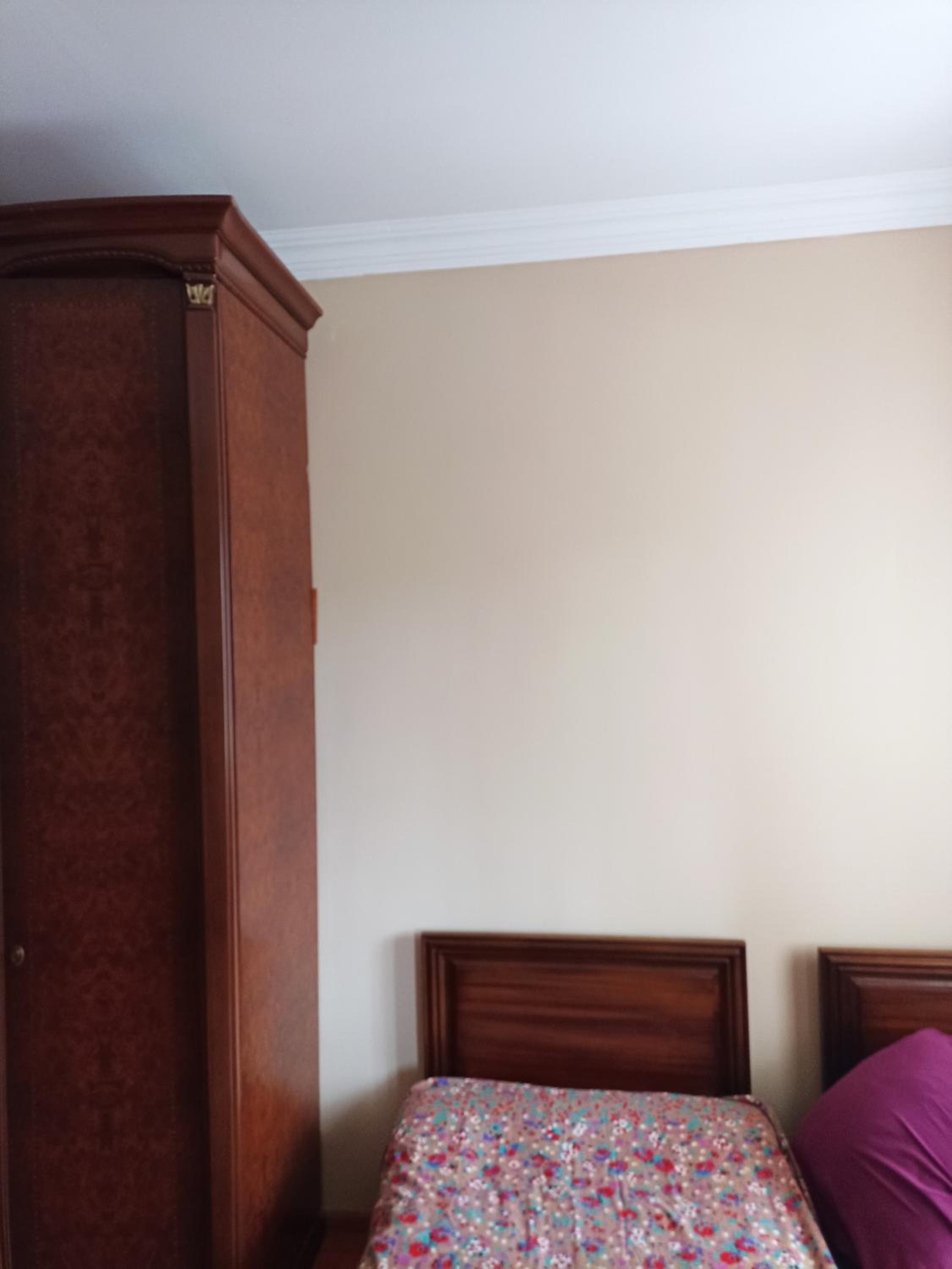 Double or Twin Room photo 1