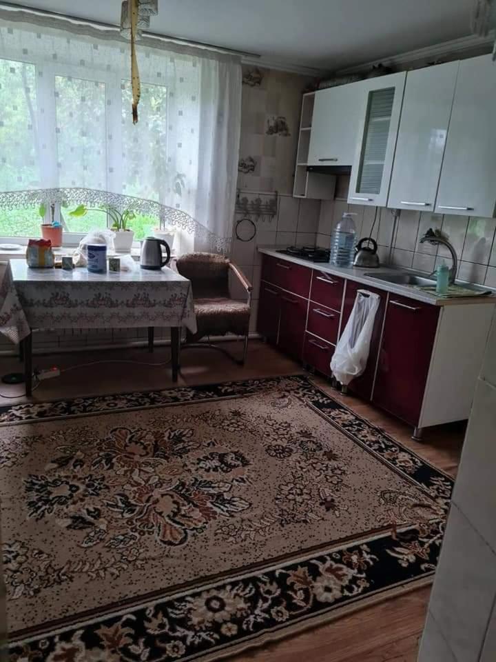 One-Bedroom House photo 3