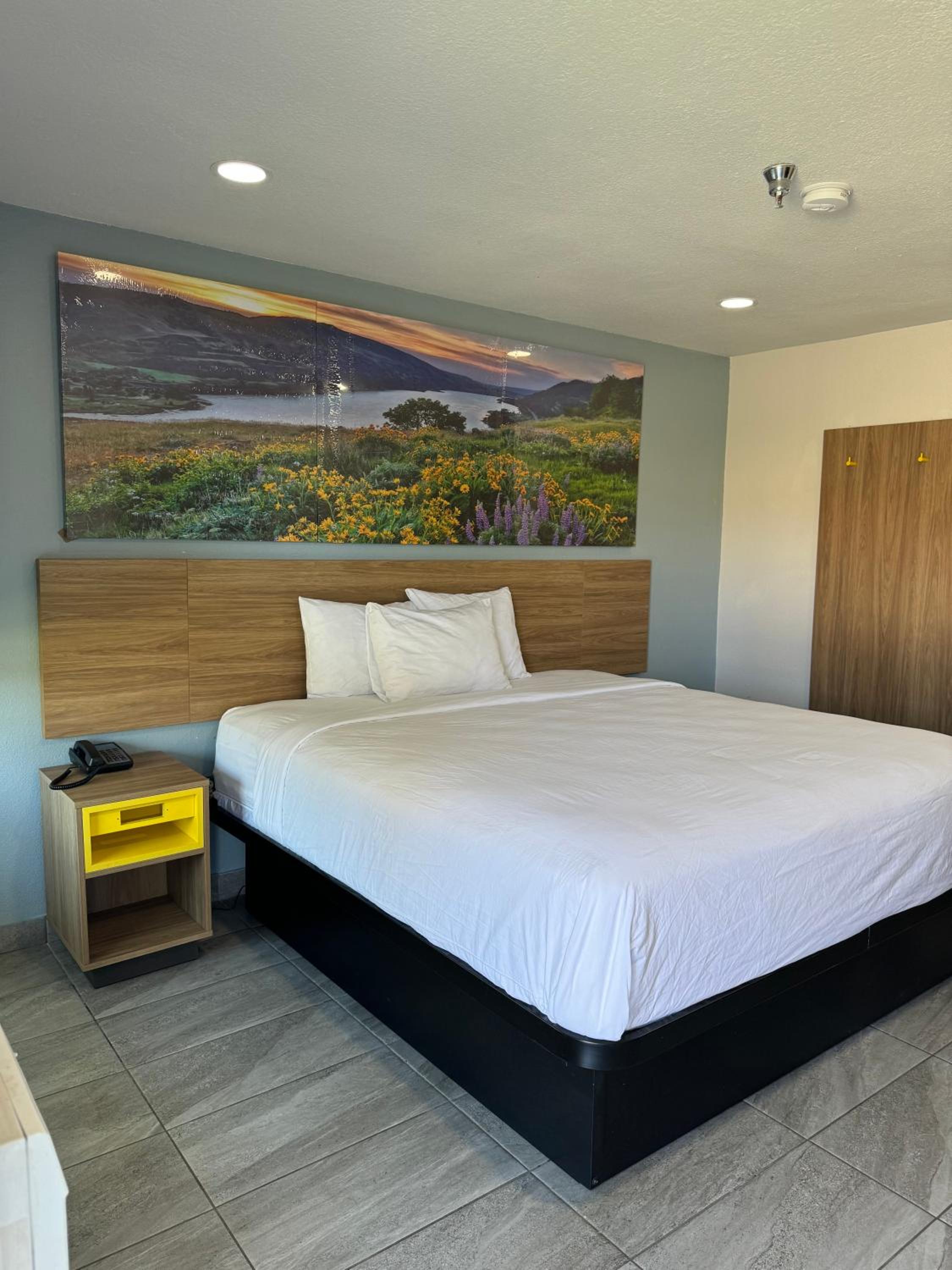 King Room with Mobility/Hearing Access and Roll-In Shower, Non-Smoking - Photo 6