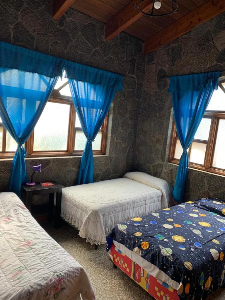 Single Bed in Mixed Dormitory Room