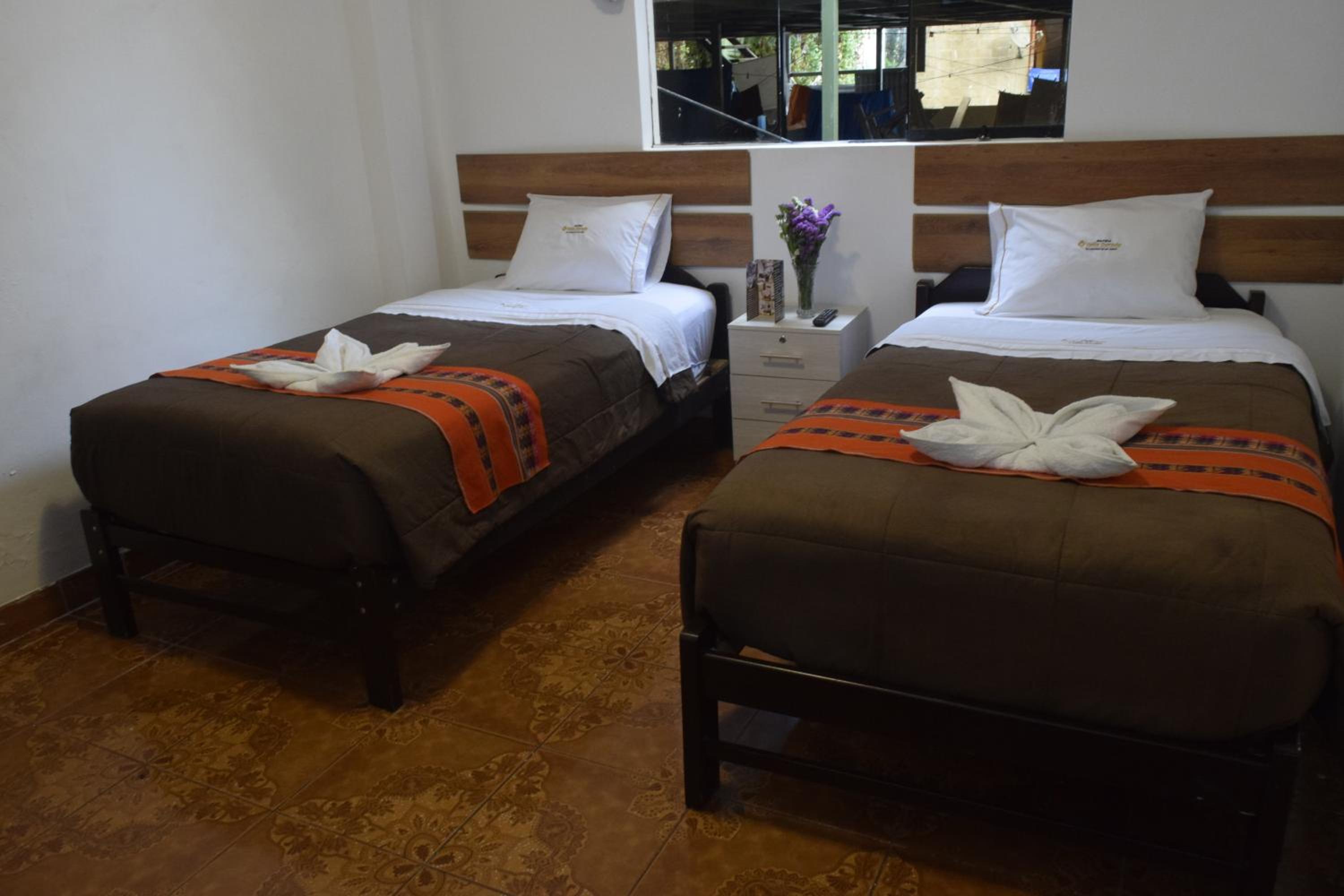 Twin Room photo 3