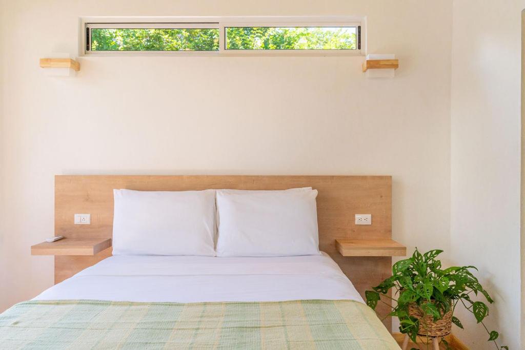 One-Bedroom Villa photo 2