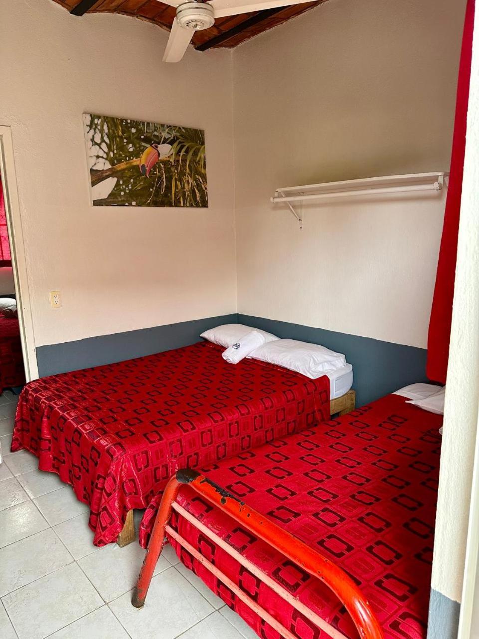 Basic Triple Room - Photo 1