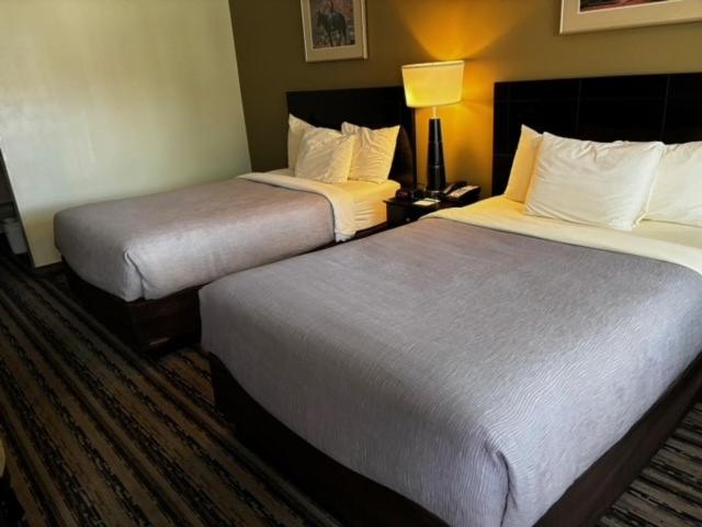 Double Room - Photo 7