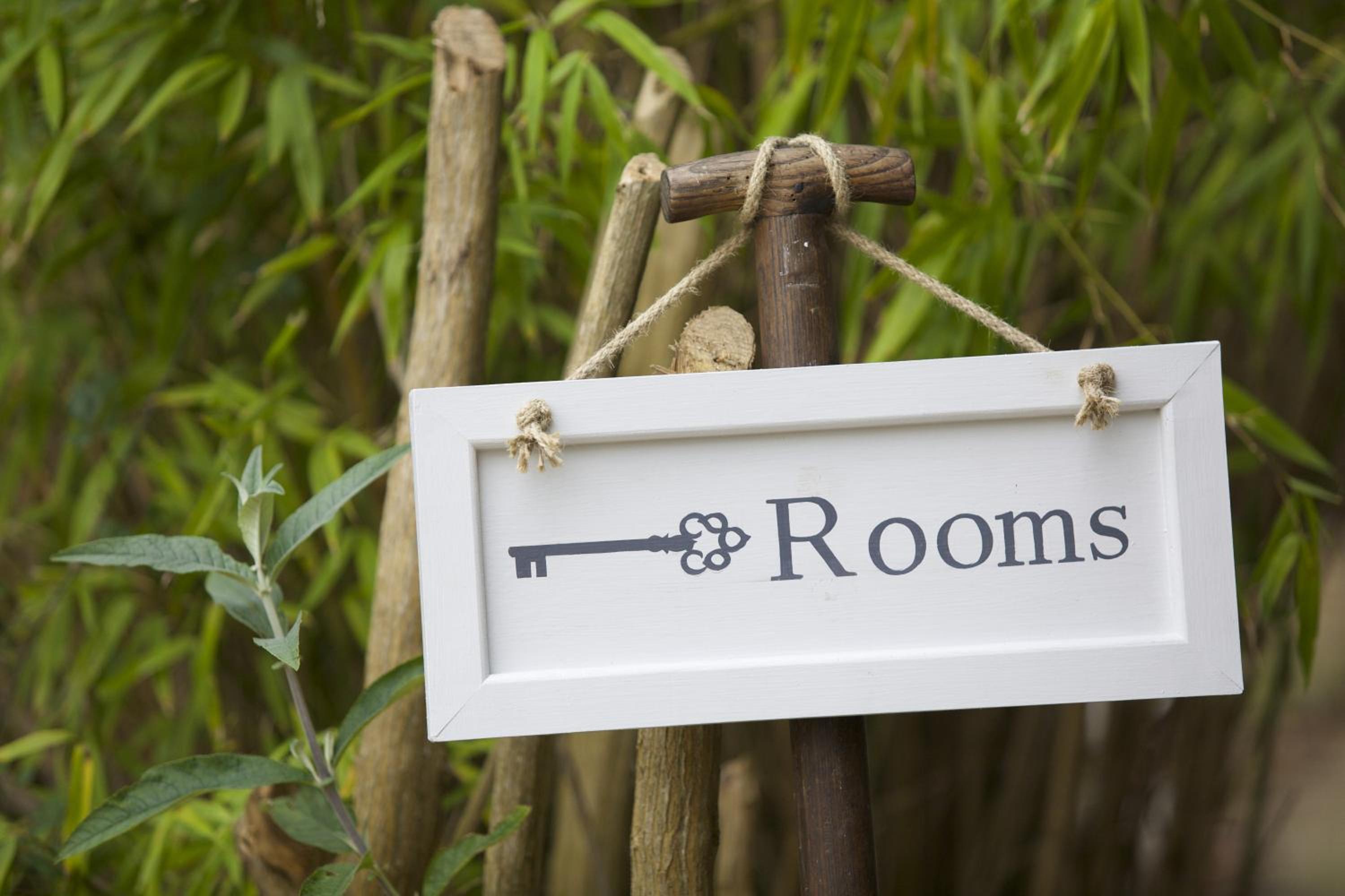 Seckel Luxury Garden Room, Accessible - Pet Friendly - Photo 4