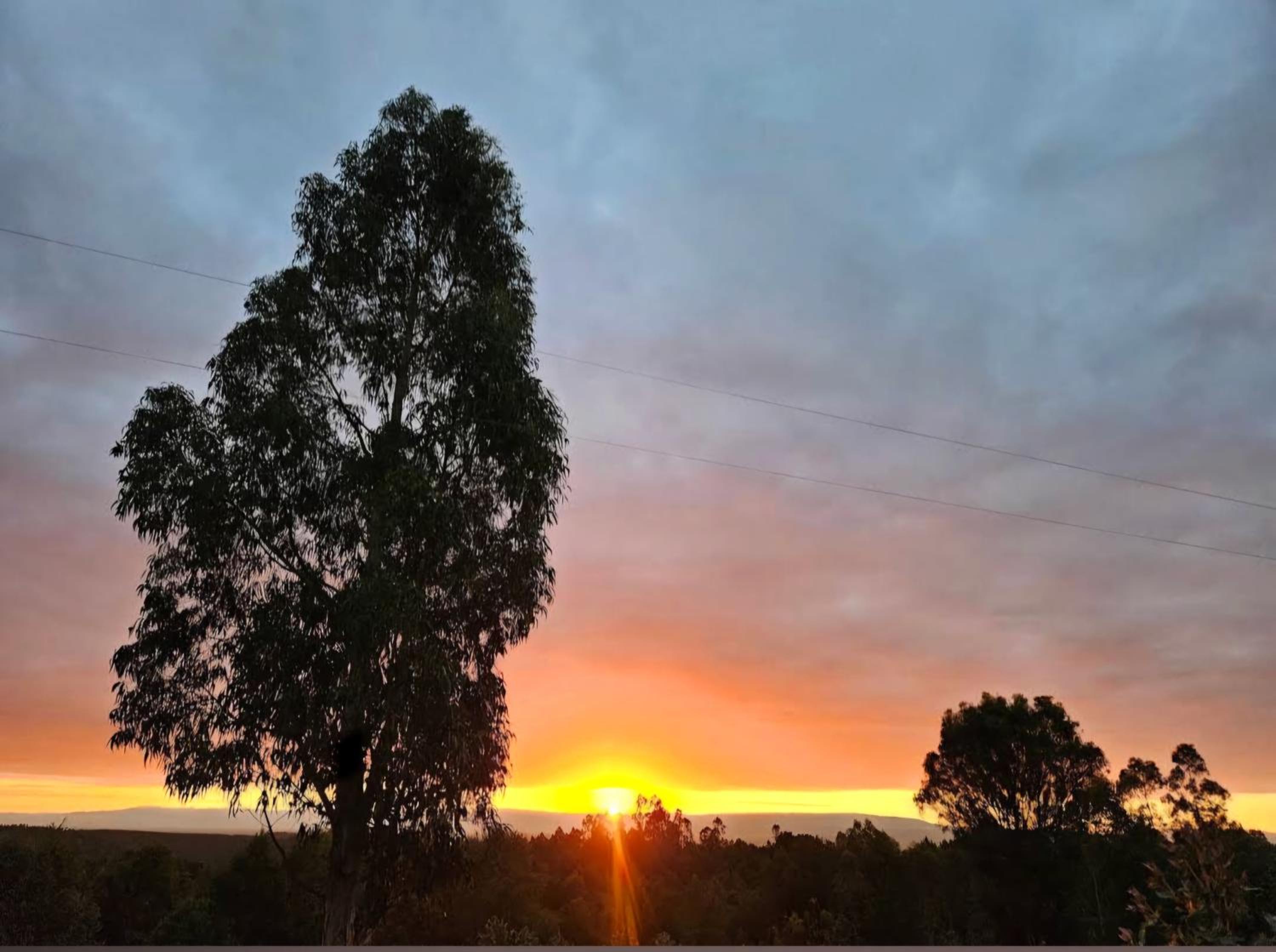 Two-Bedroom House photo 3