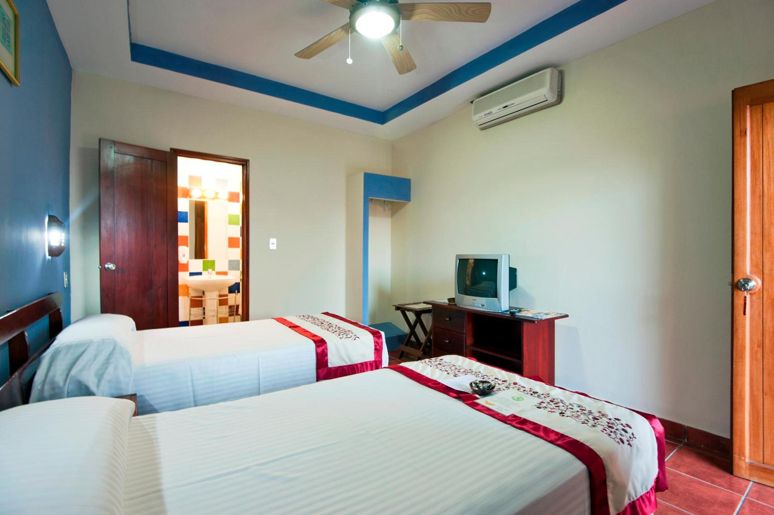 Twin Room photo 2