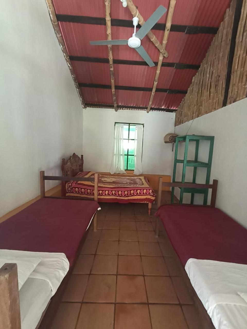 Mixed Dormitory Room photo 1