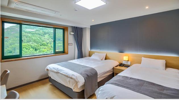 Standard Twin Room with Mountain View photo 3