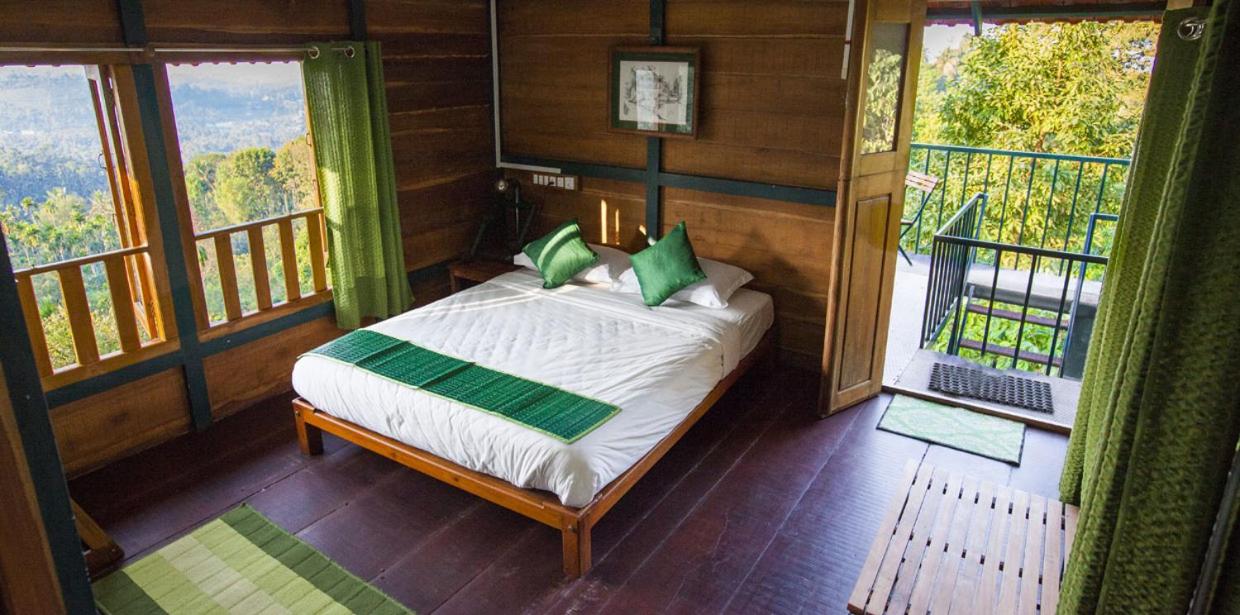 Tree House photo 1