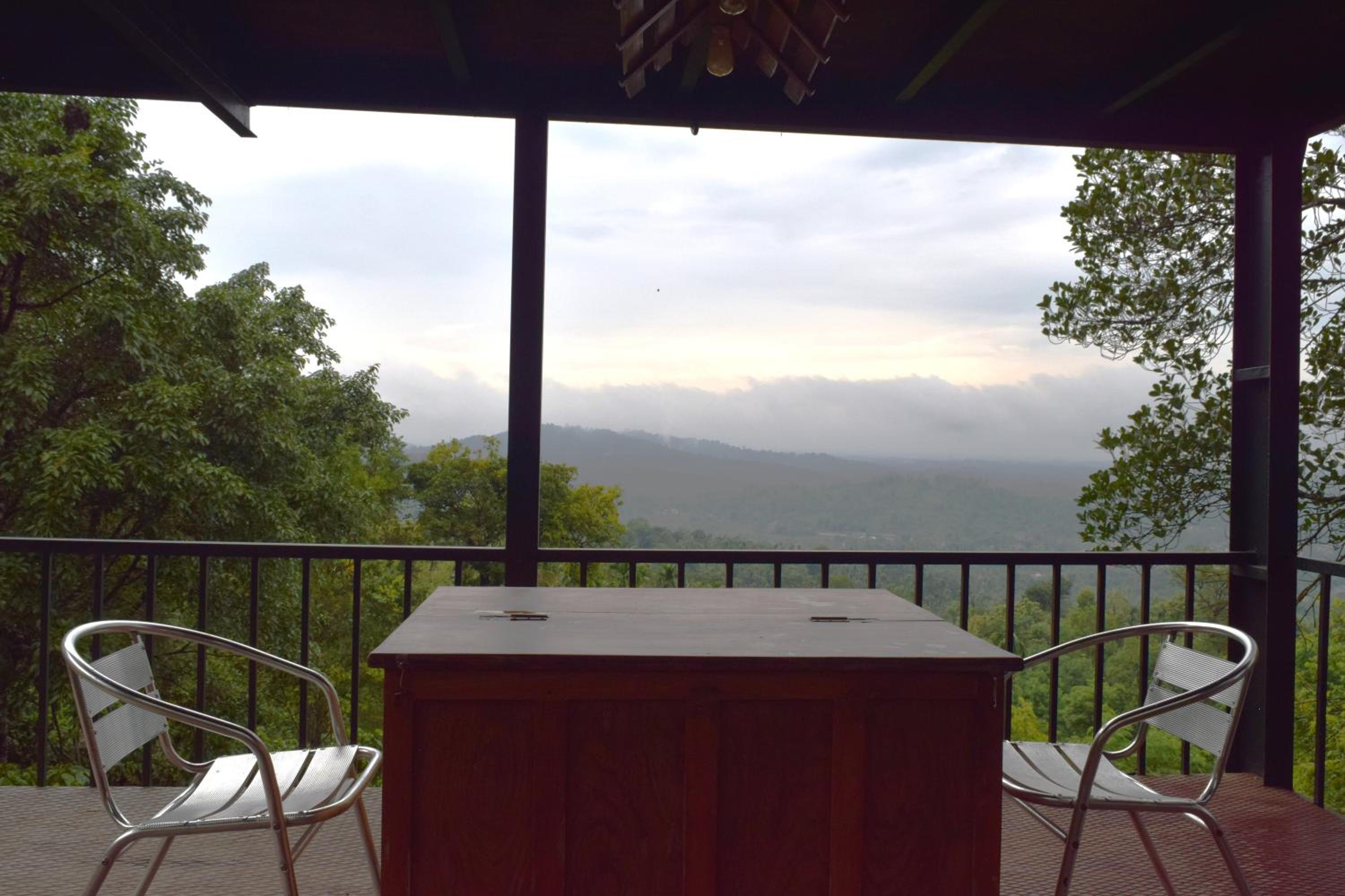 Tree House photo 2