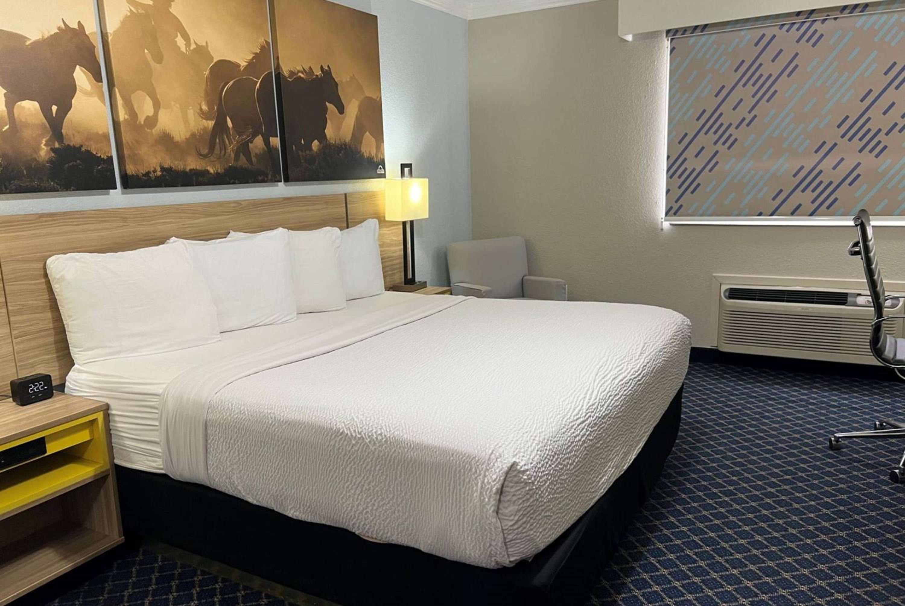 King Room with Roll-In Shower - Mobility/Hearing Accessible - Non-Smoking photo 1