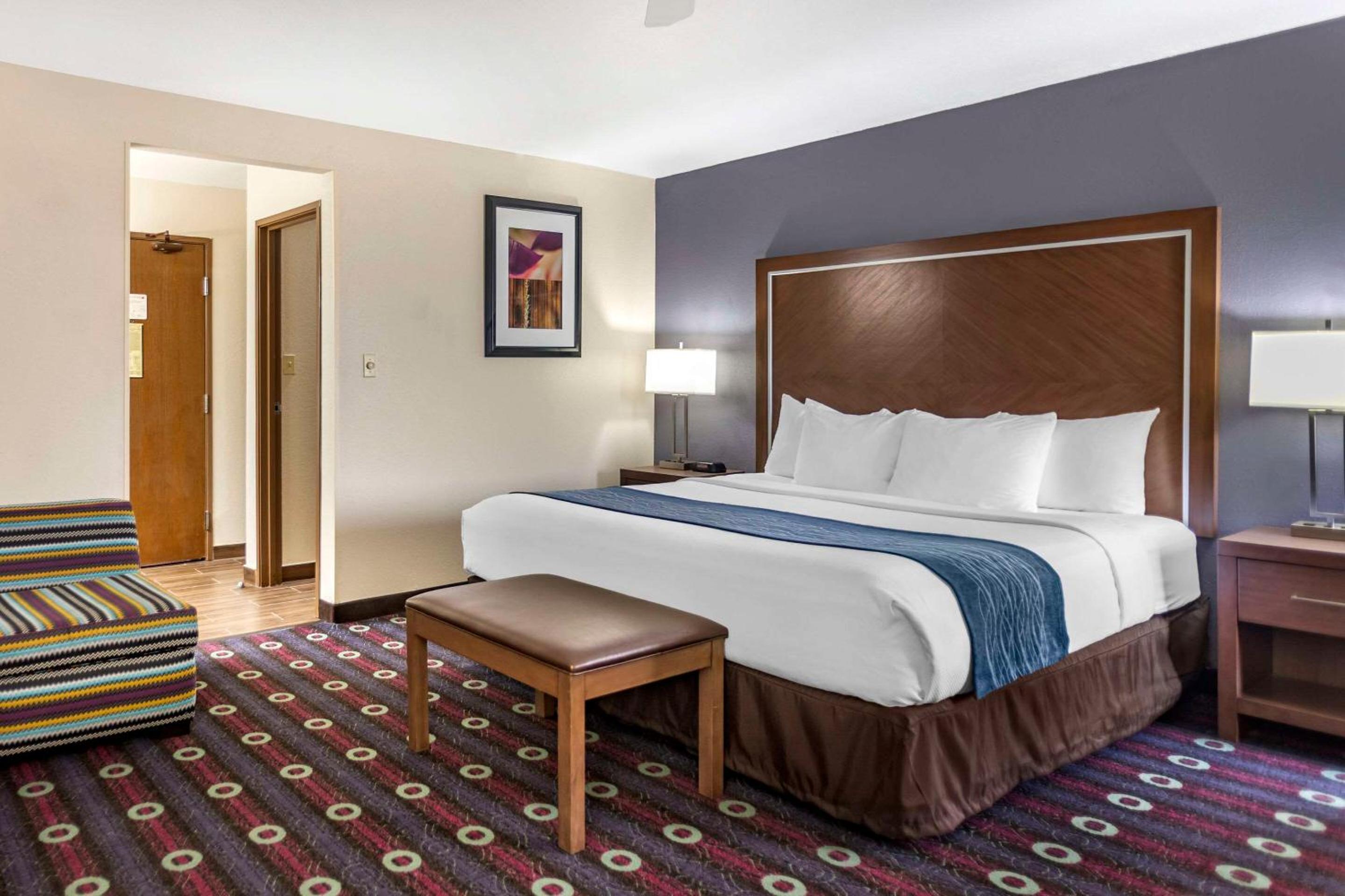 King Suite with Sofa Bed - Non-Smoking - Photo 1