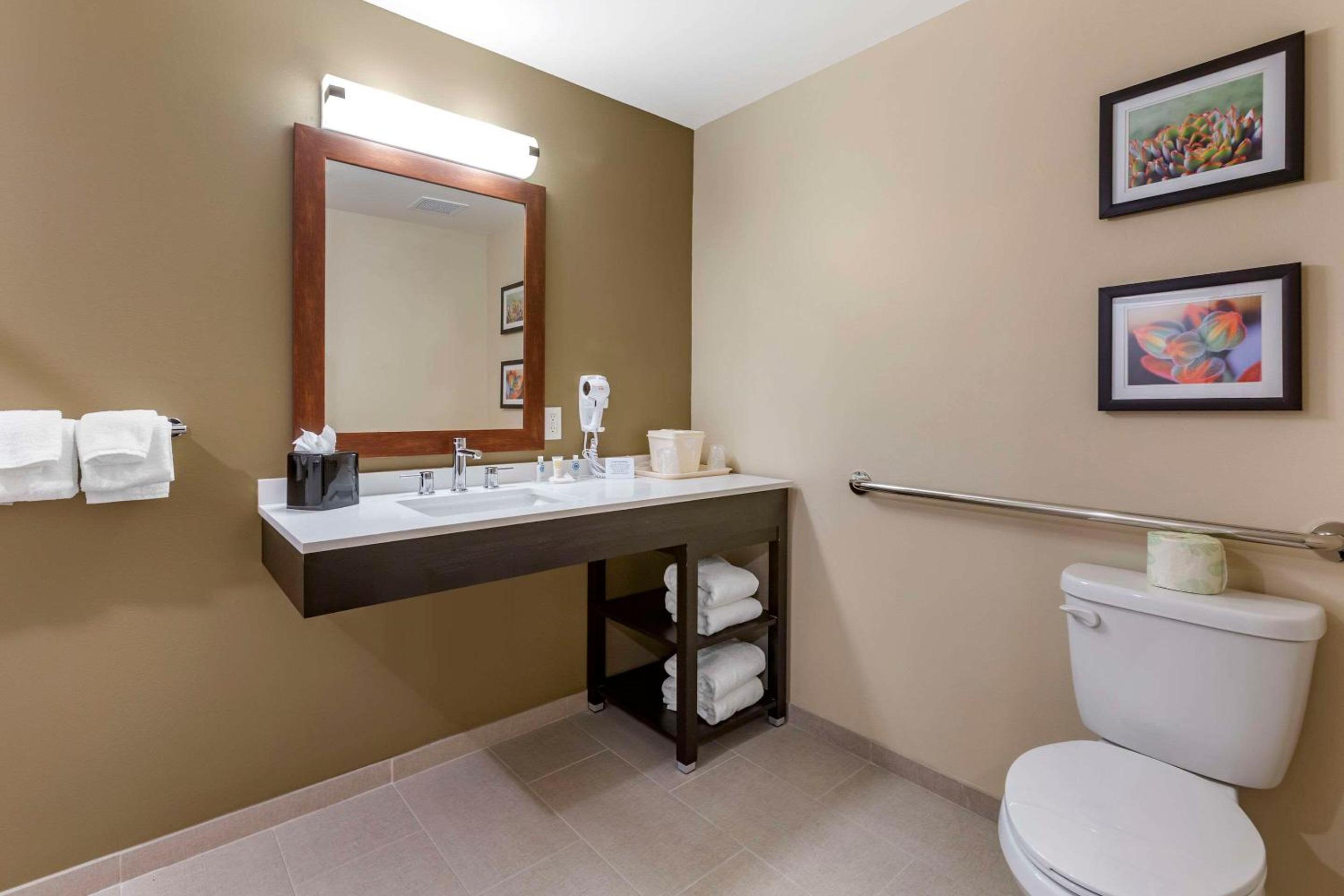 Efficiency King Suite - Non-Smoking - Photo 5