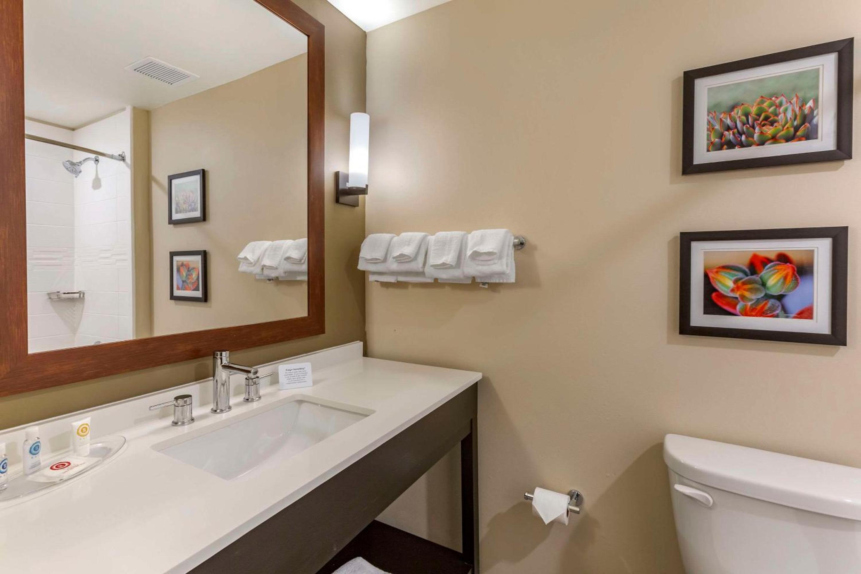 King Suite - Non-Smoking - Photo 4