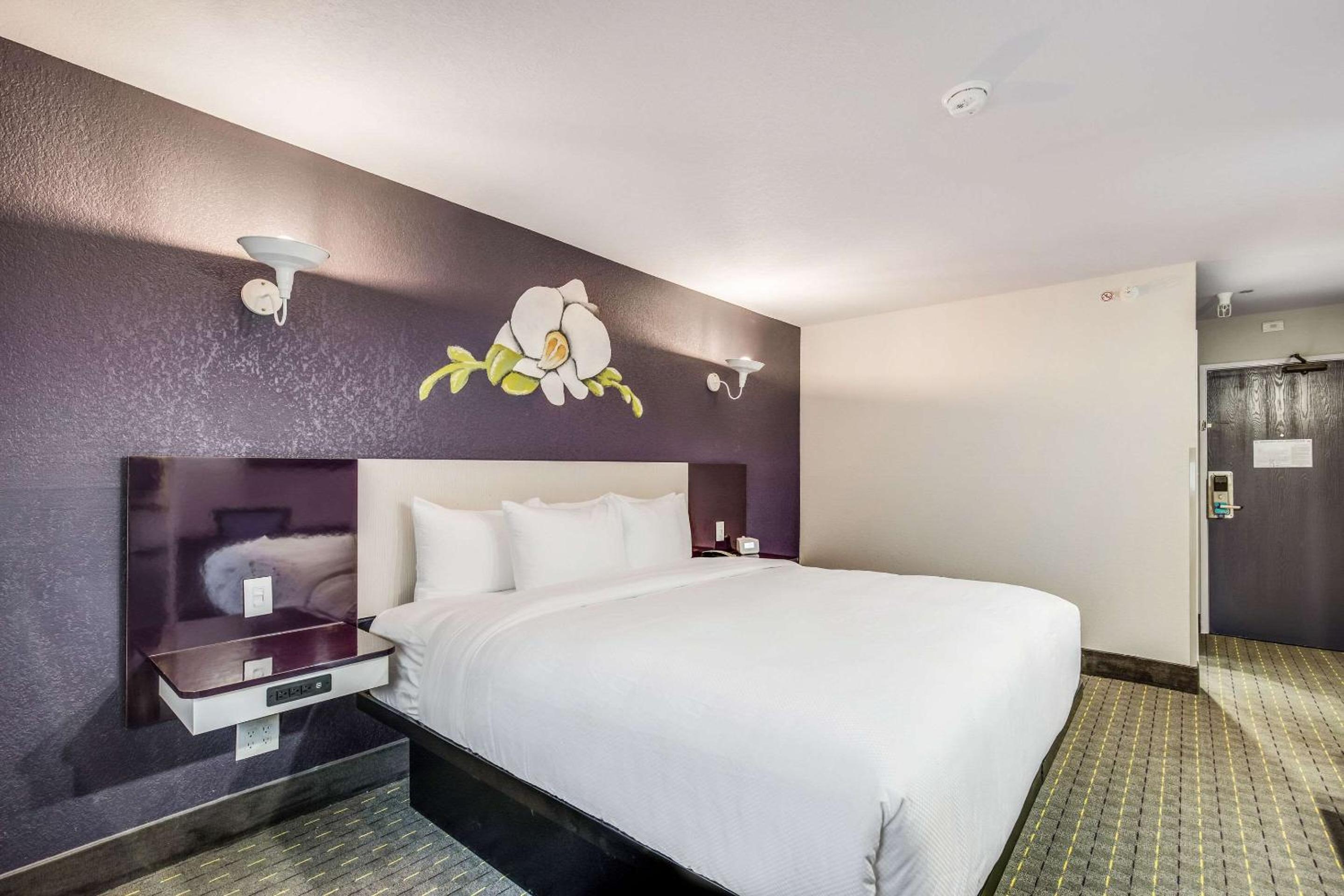 Standard King Room - Non Smoking - Photo 4