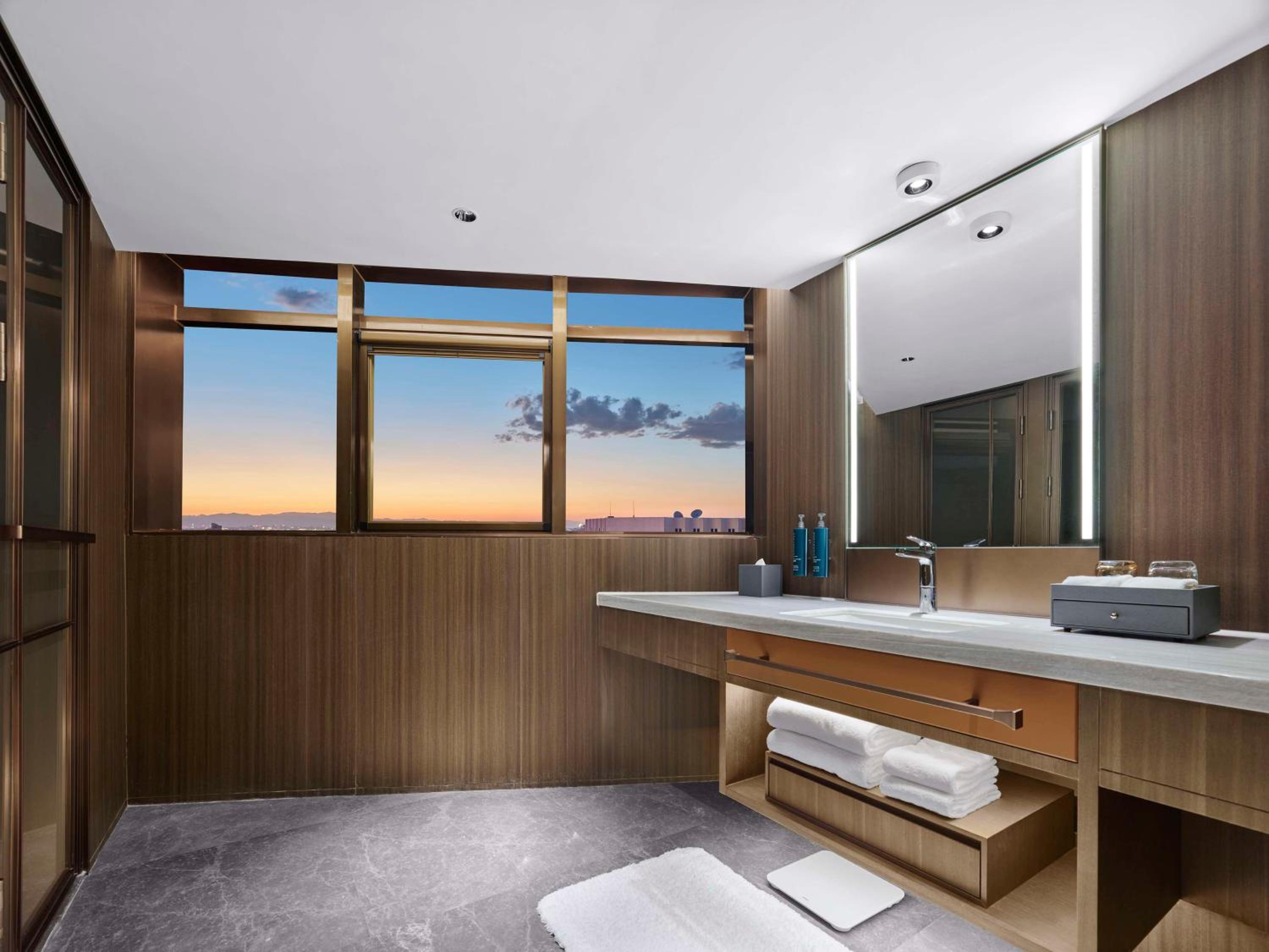 Deluxe King Suite