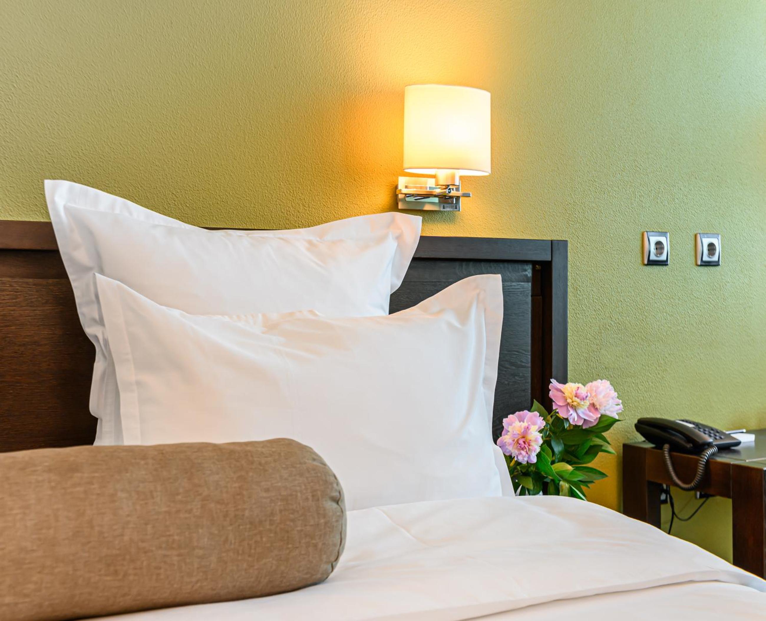Deluxe Double Room with Danube View - Photo 1