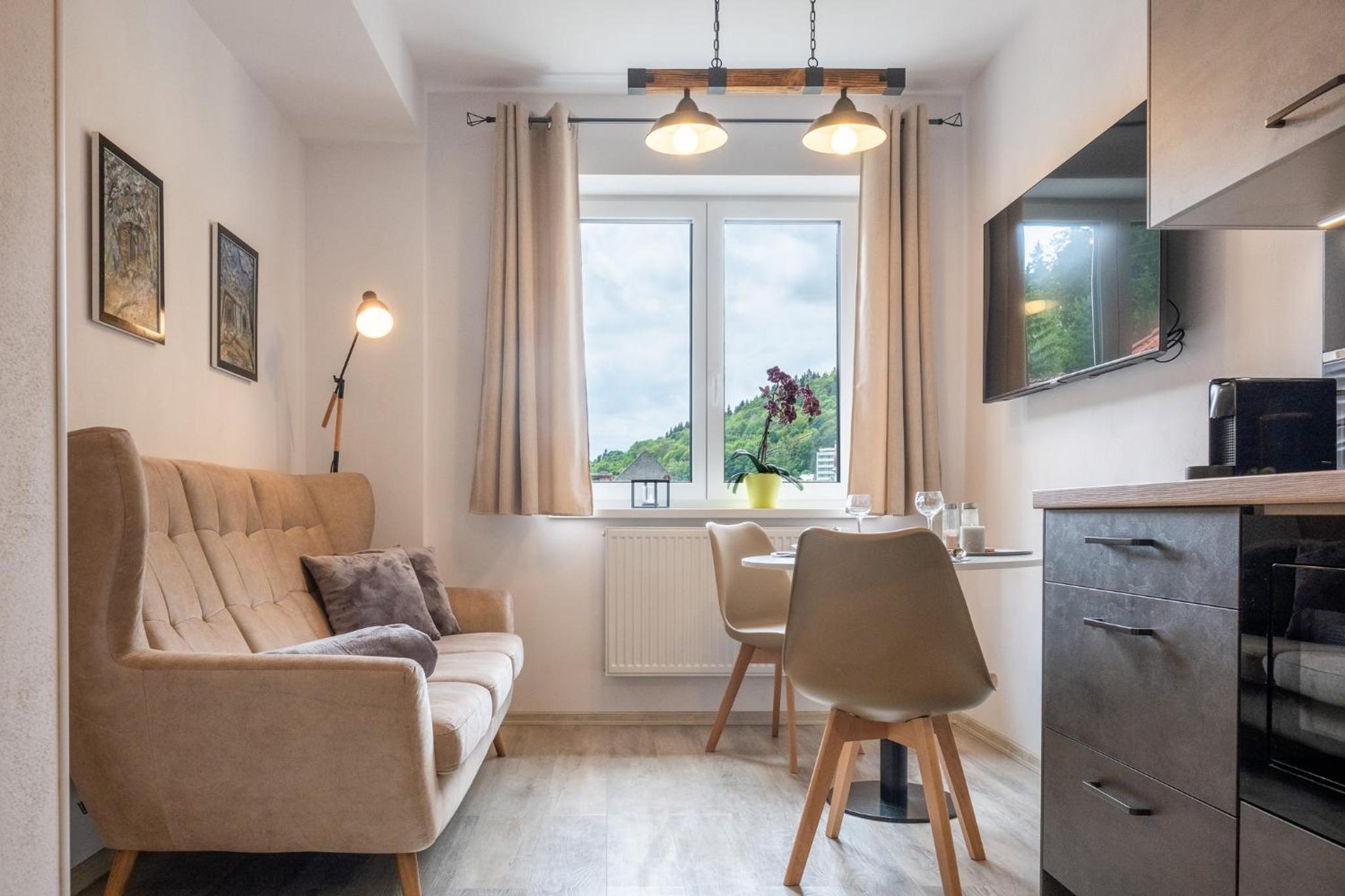 Superior Apartment photo 2