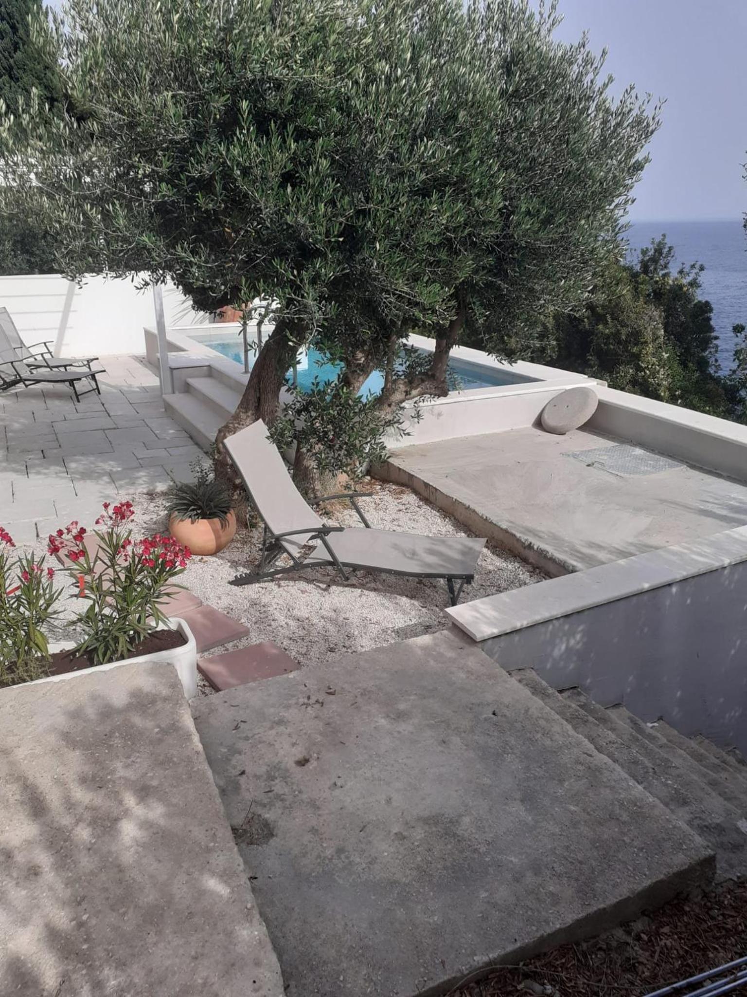 Apartment with Garden View photo 1