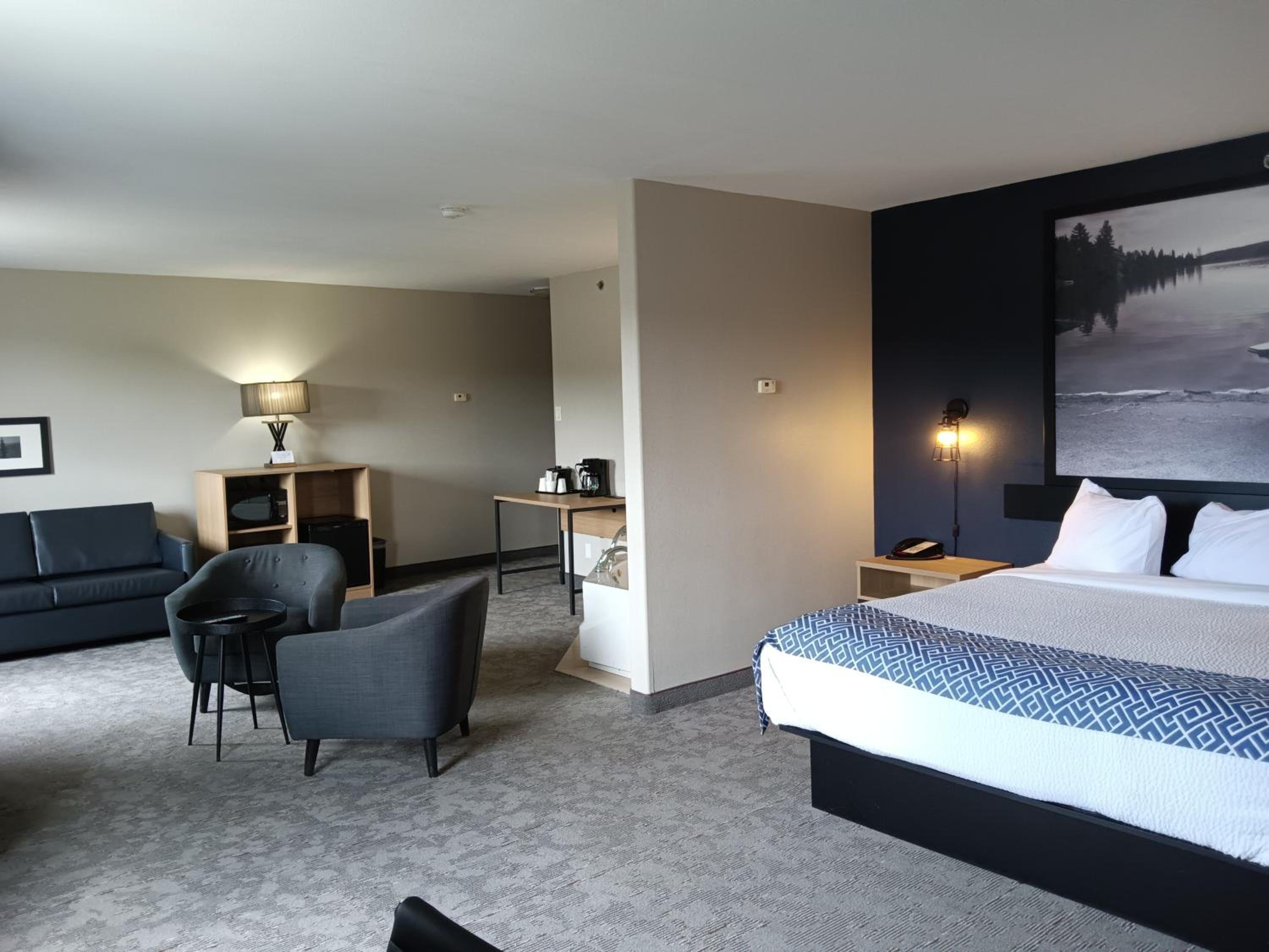 Deluxe King Suite - Non-Smoking - Photo 1