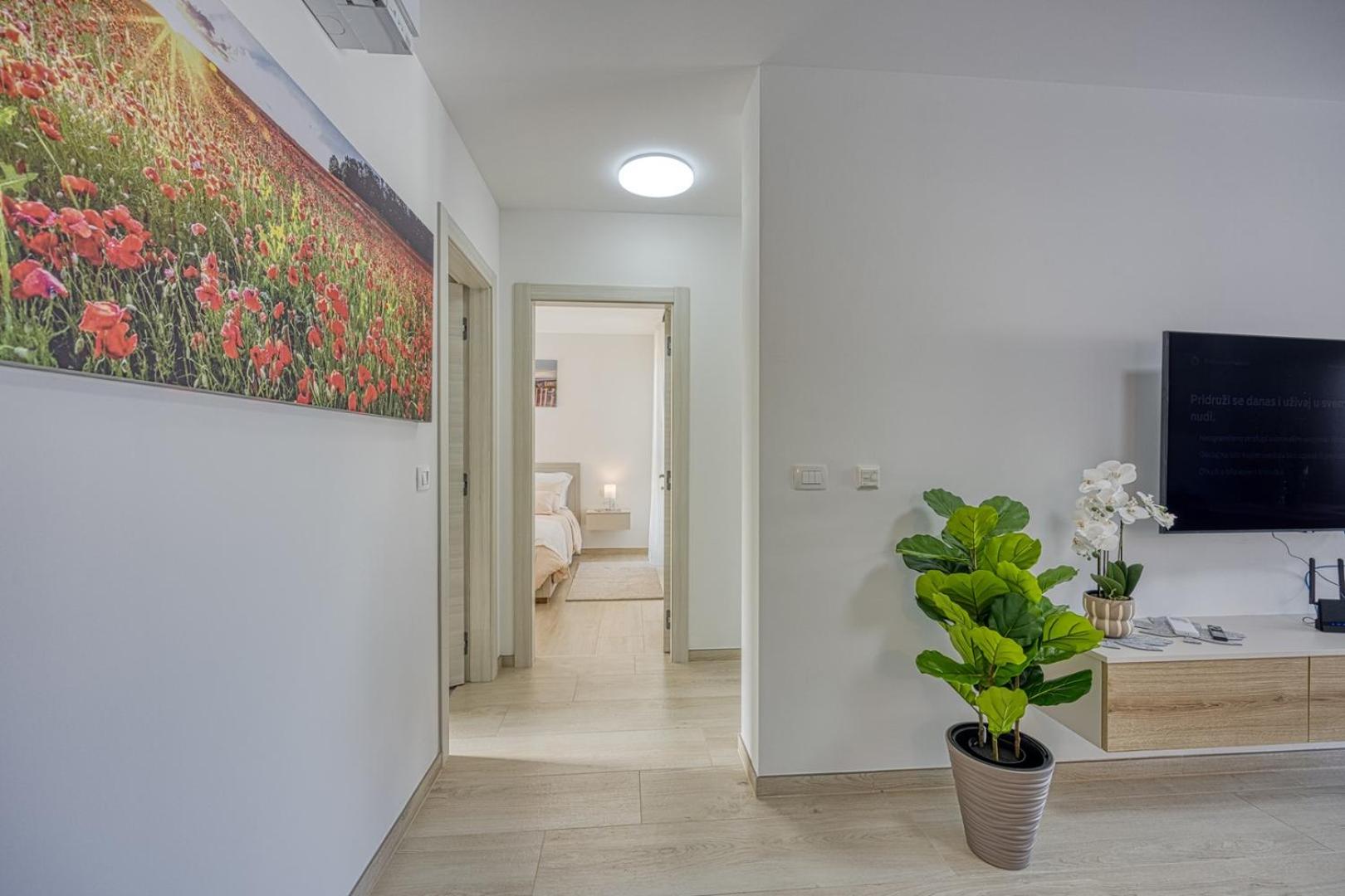 Apartment with Balcony photo 3