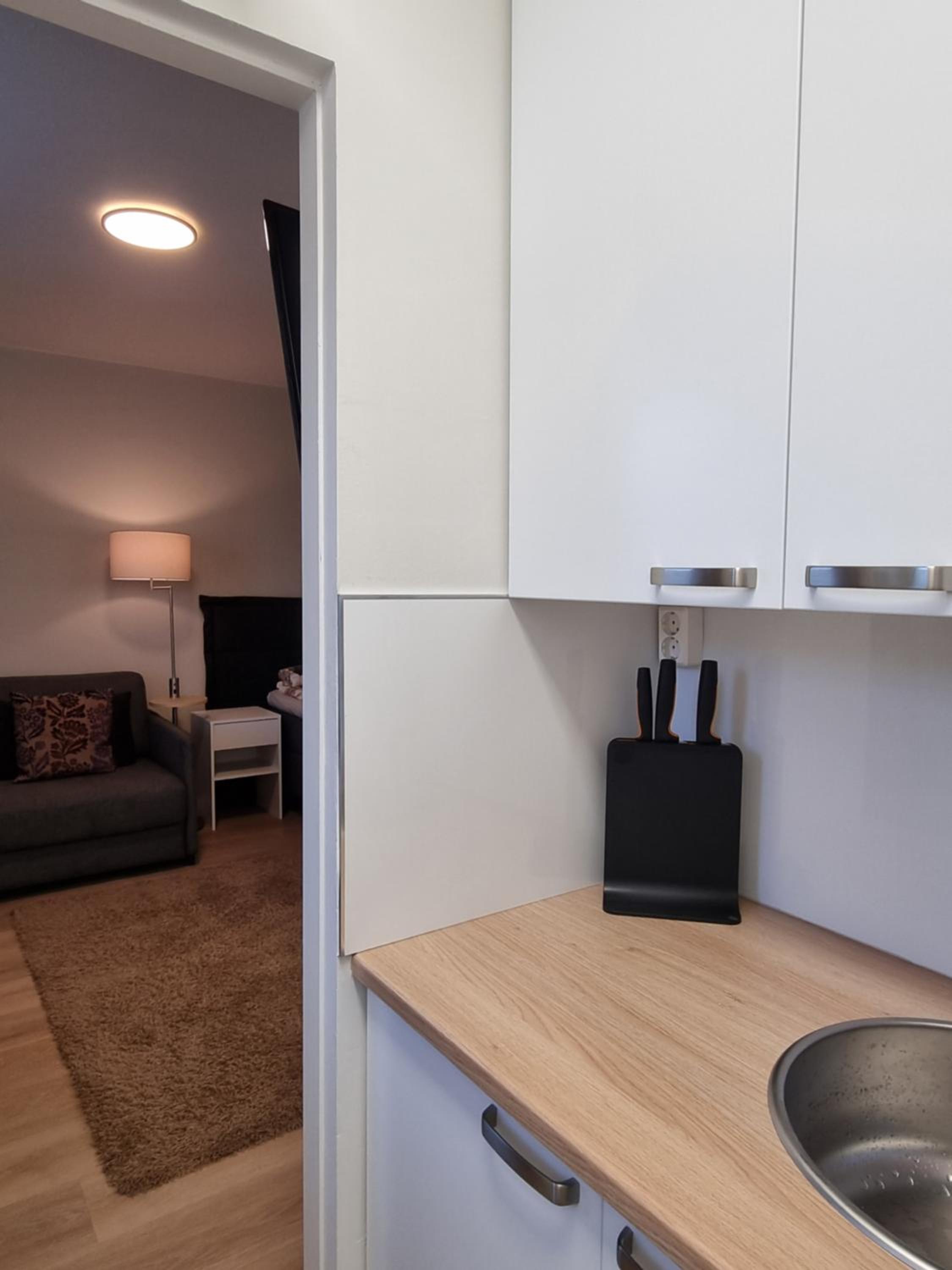One-Bedroom Apartment photo 2