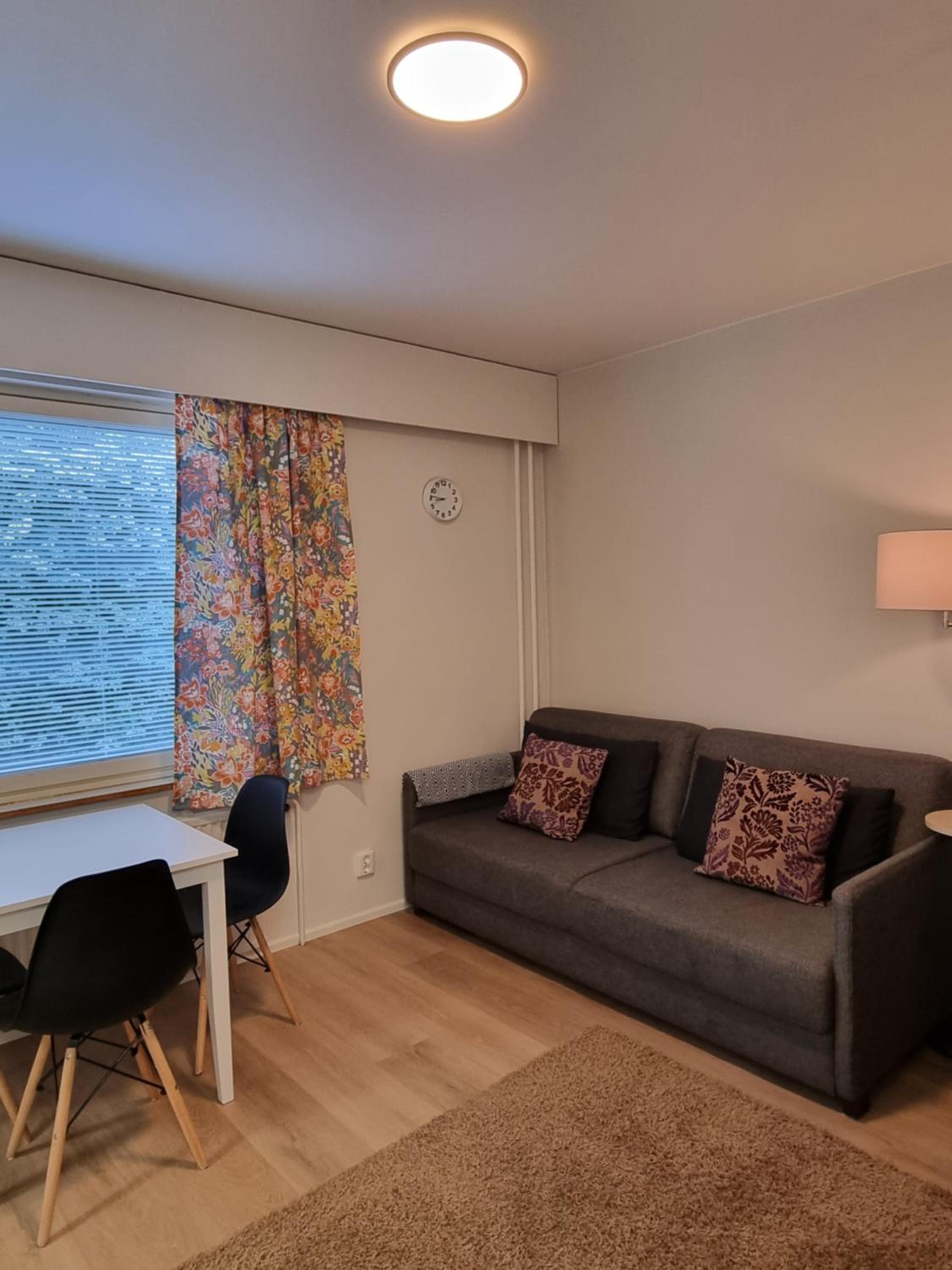 One-Bedroom Apartment photo 3