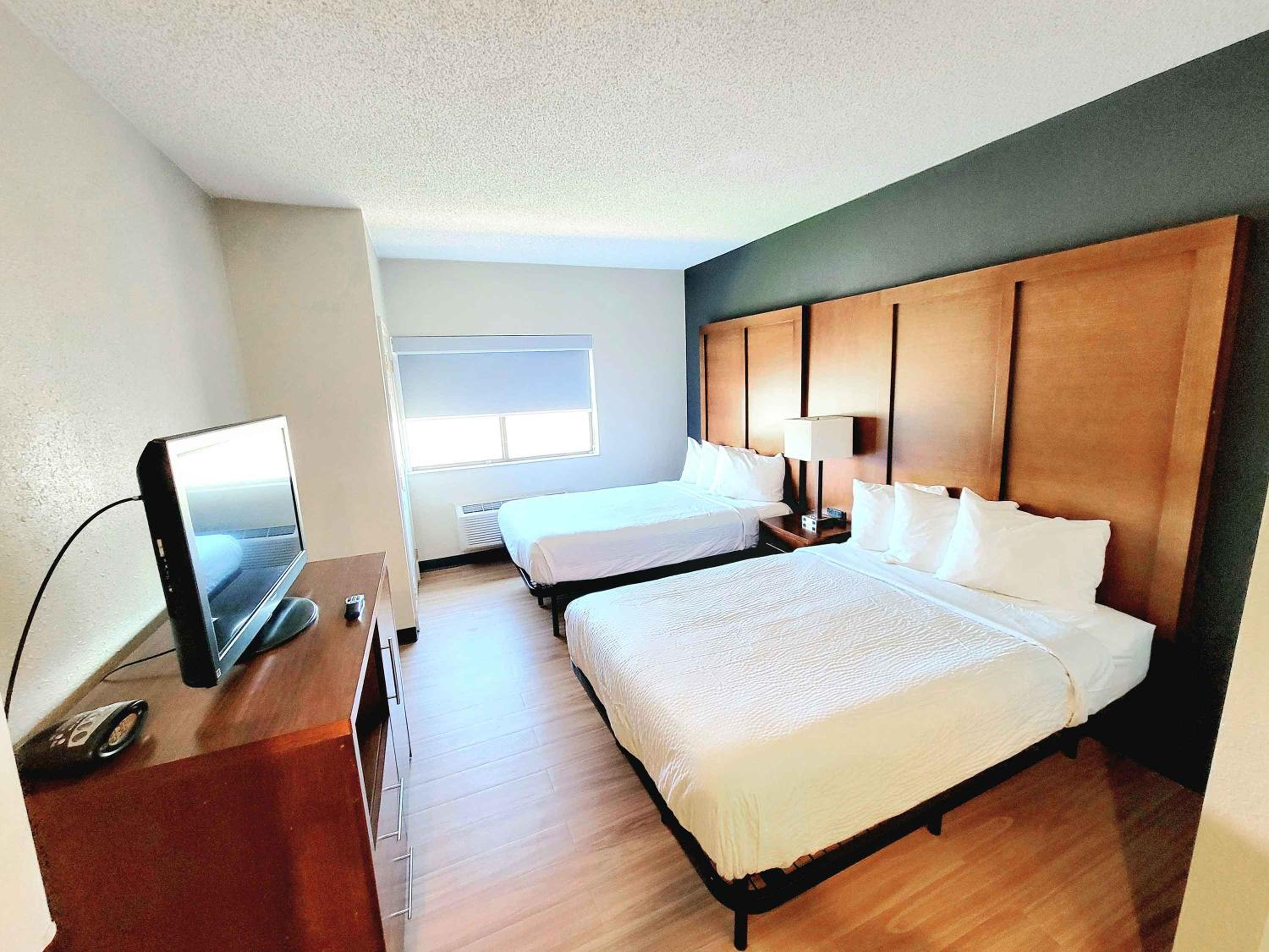 Suite photo 1