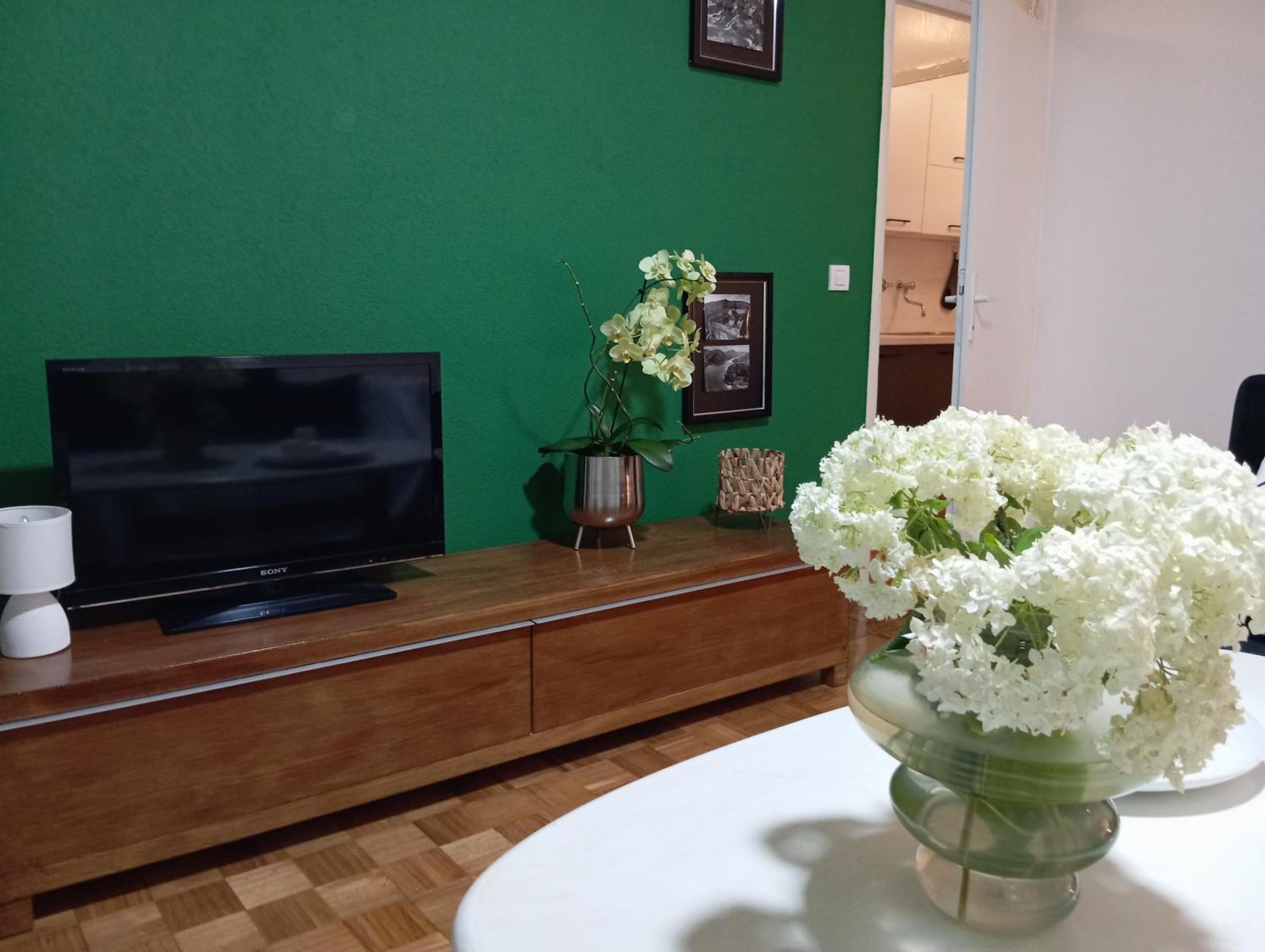 Two-Bedroom Apartment with Balcony photo 1