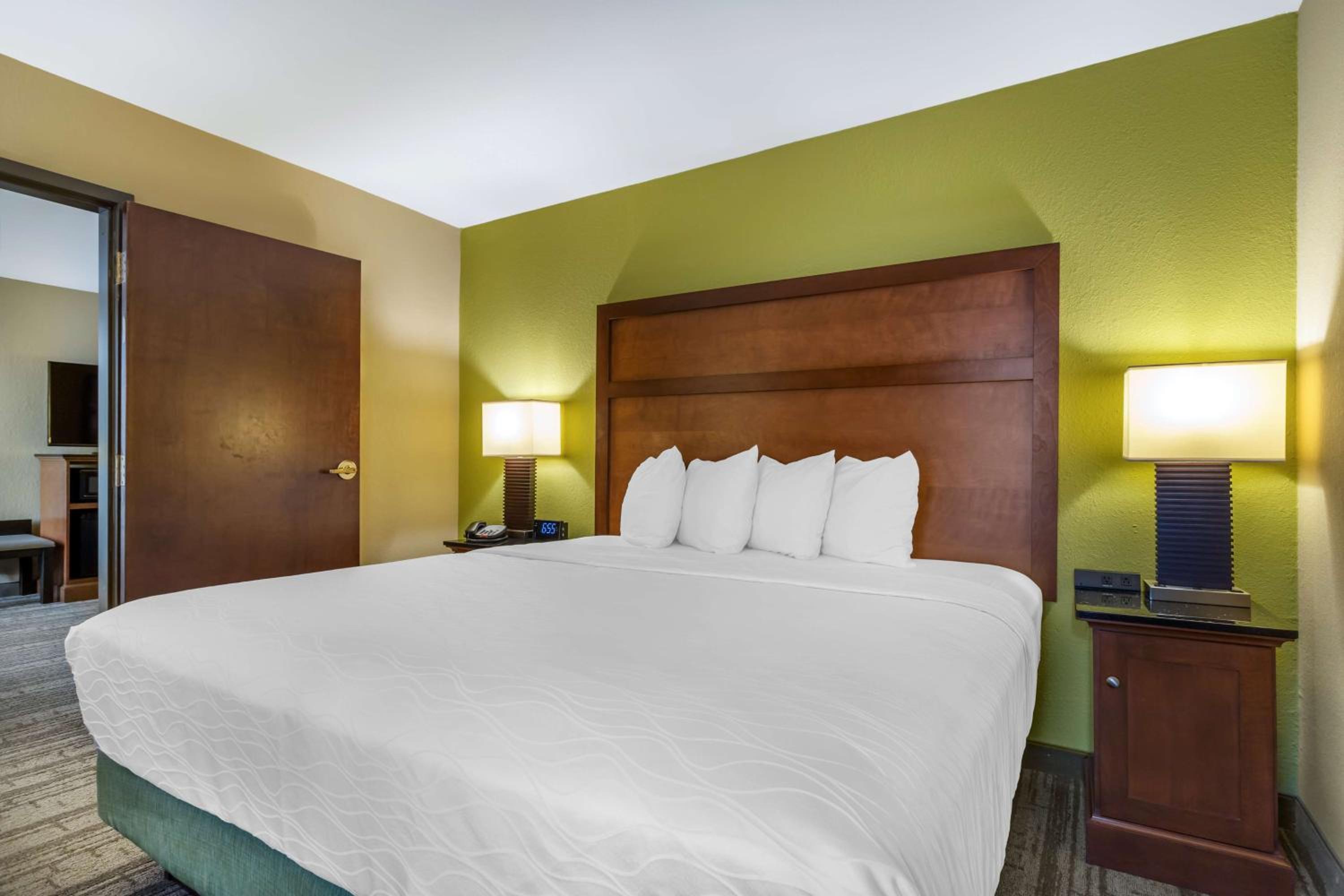 King Suite with Sofa Bed - Photo 1